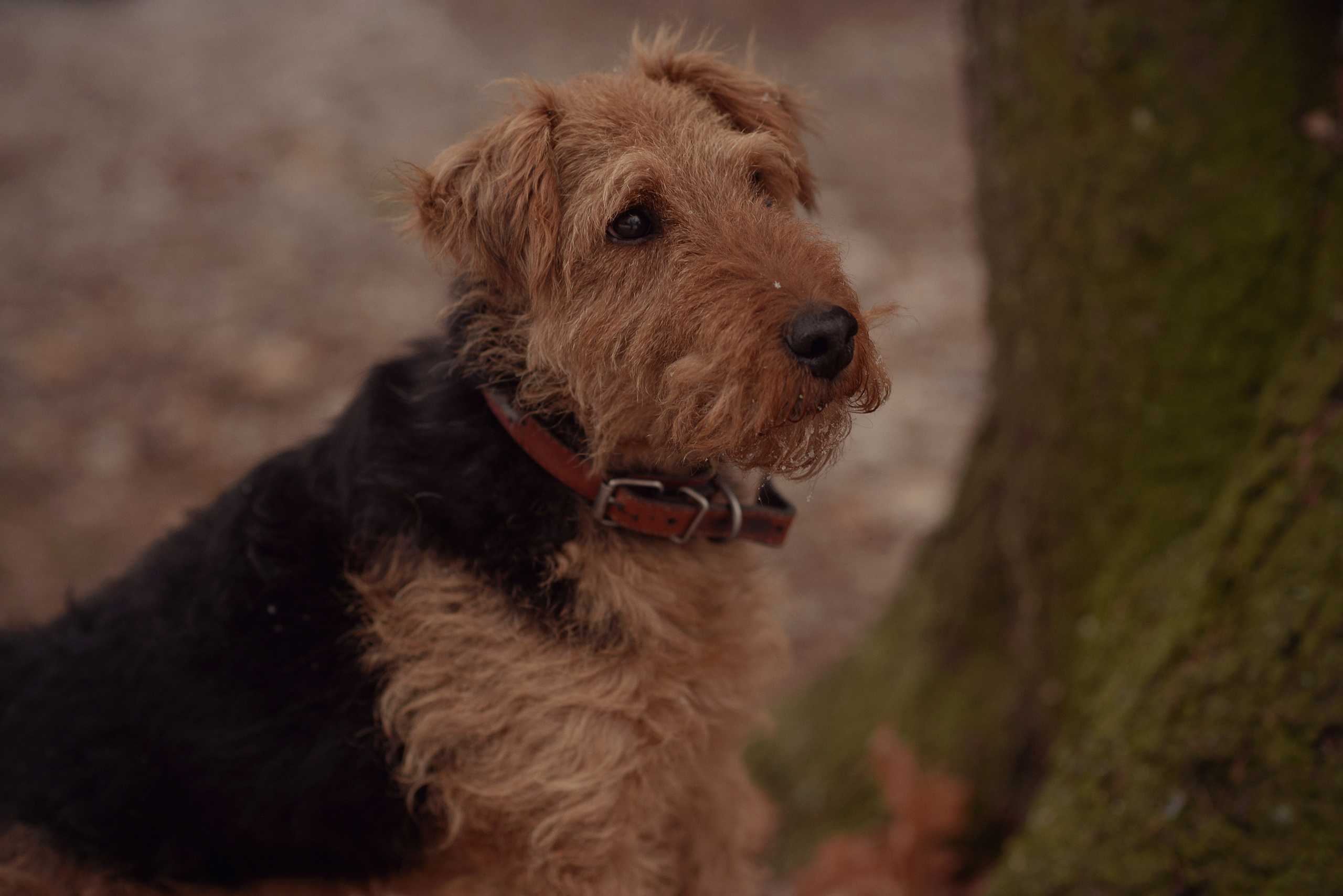 Женя и Вилли. Фотограф Альбина Вакунова