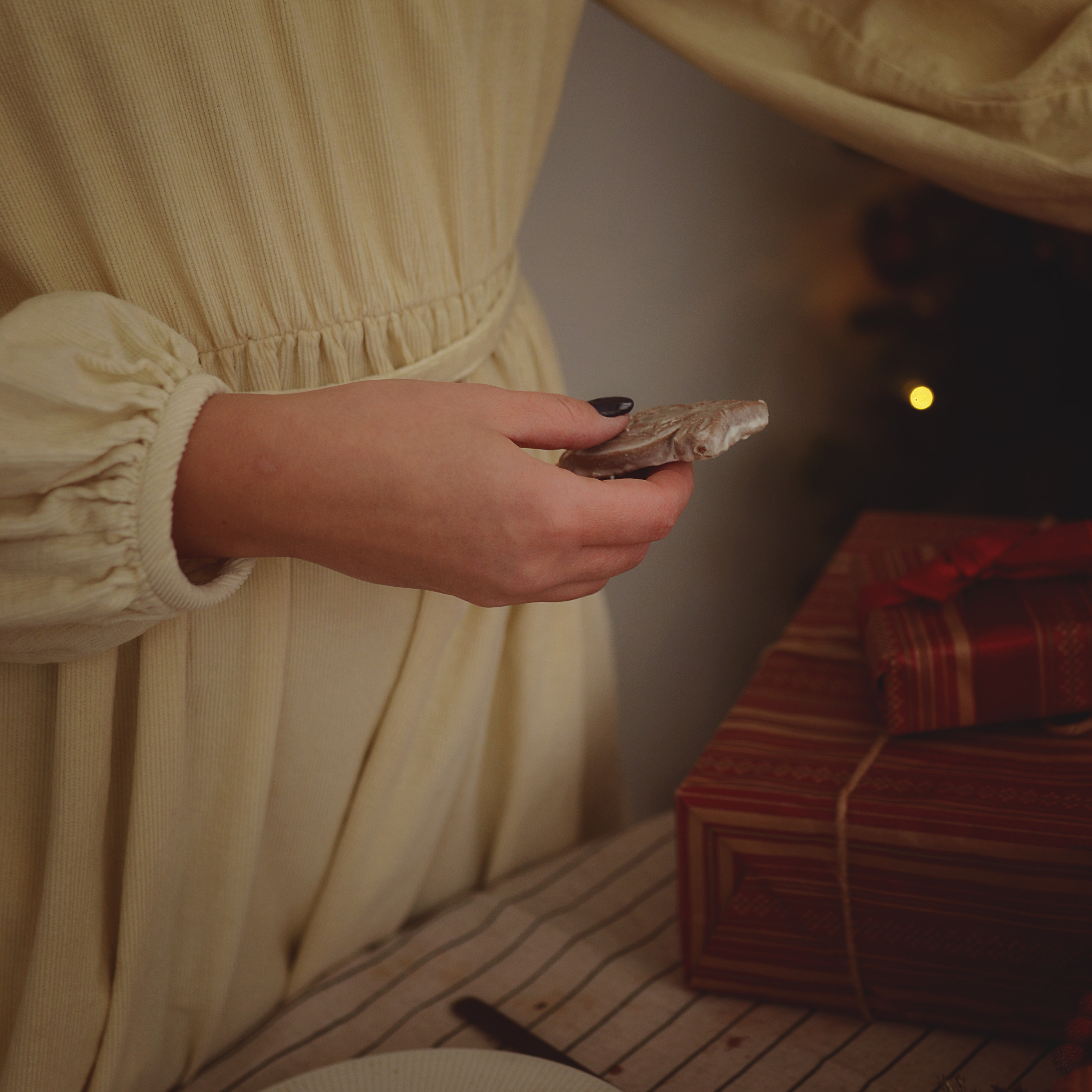 Новый год на даче. Фотограф Альбина Вакунова