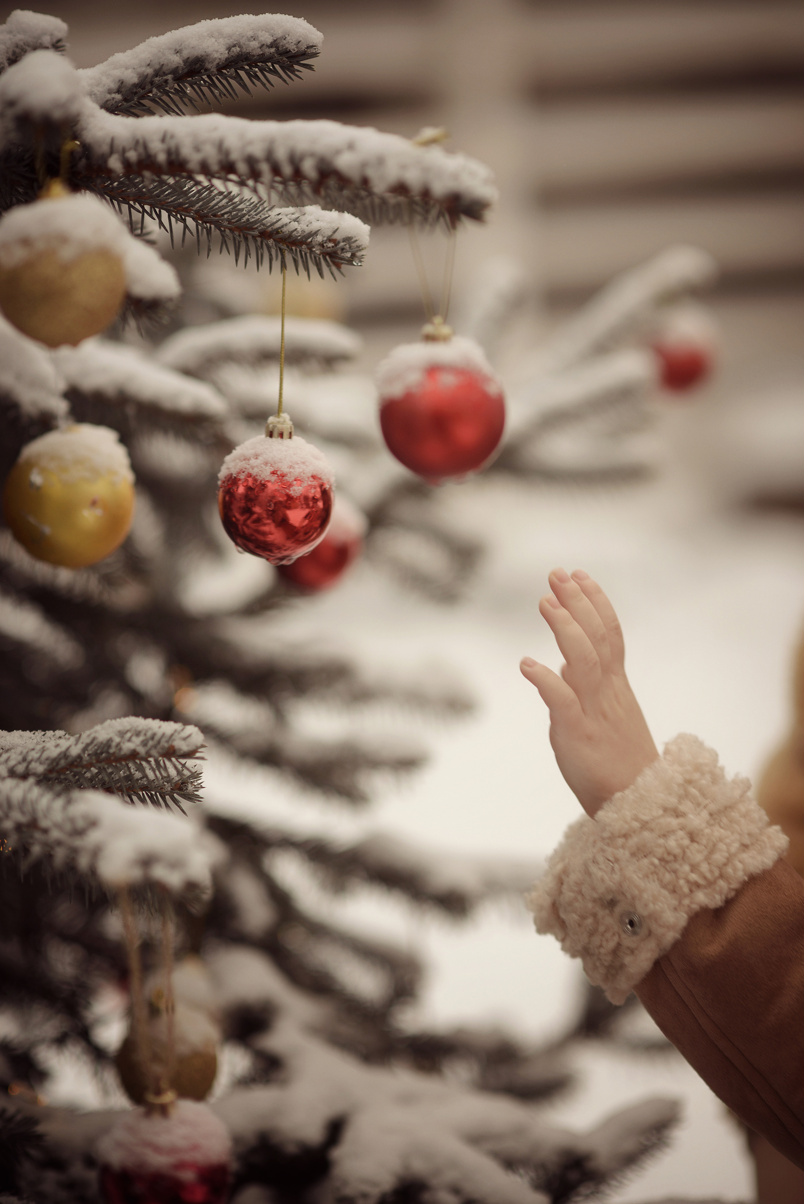 Новый год на даче. Фотограф Альбина Вакунова