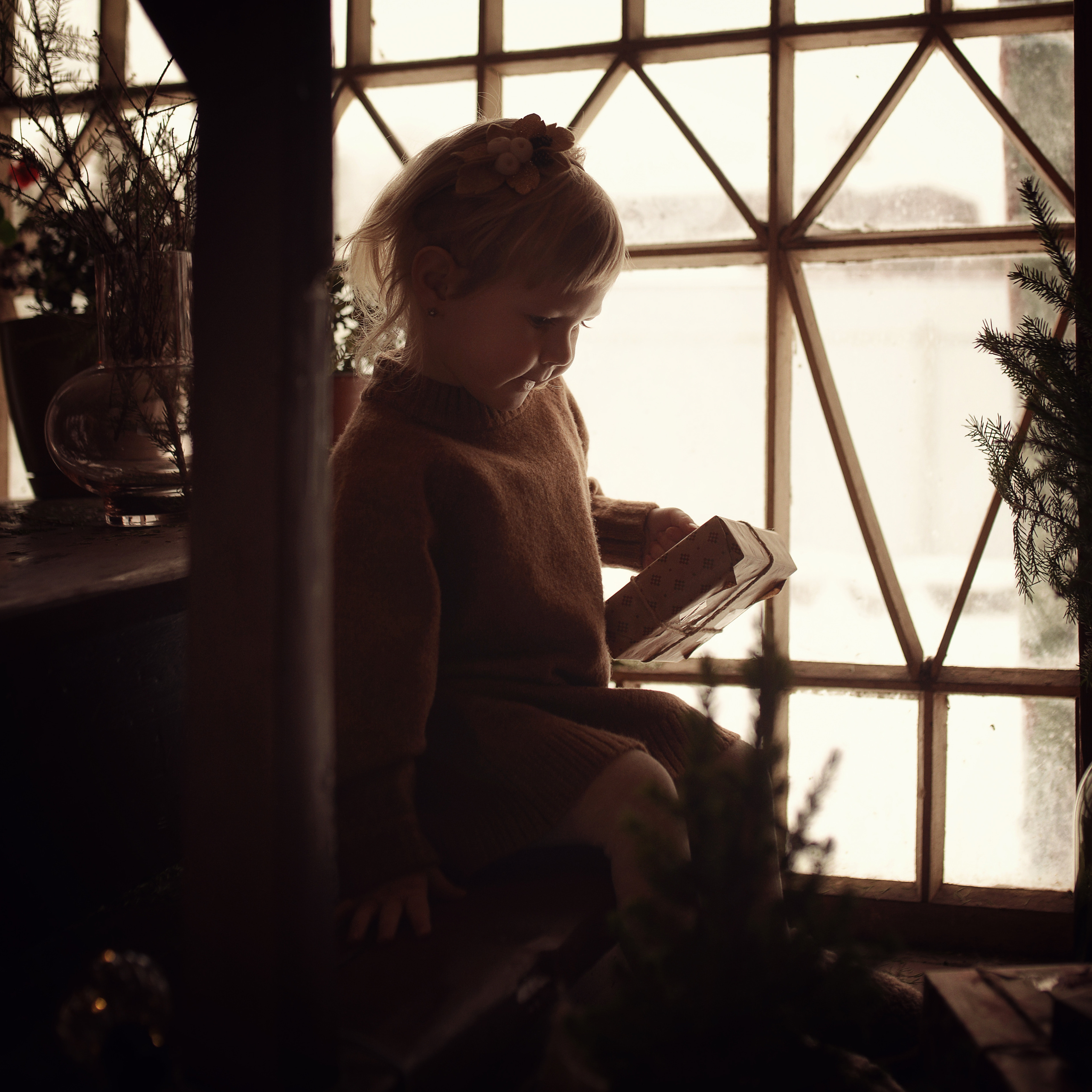 Новый год на даче. Фотограф Альбина Вакунова