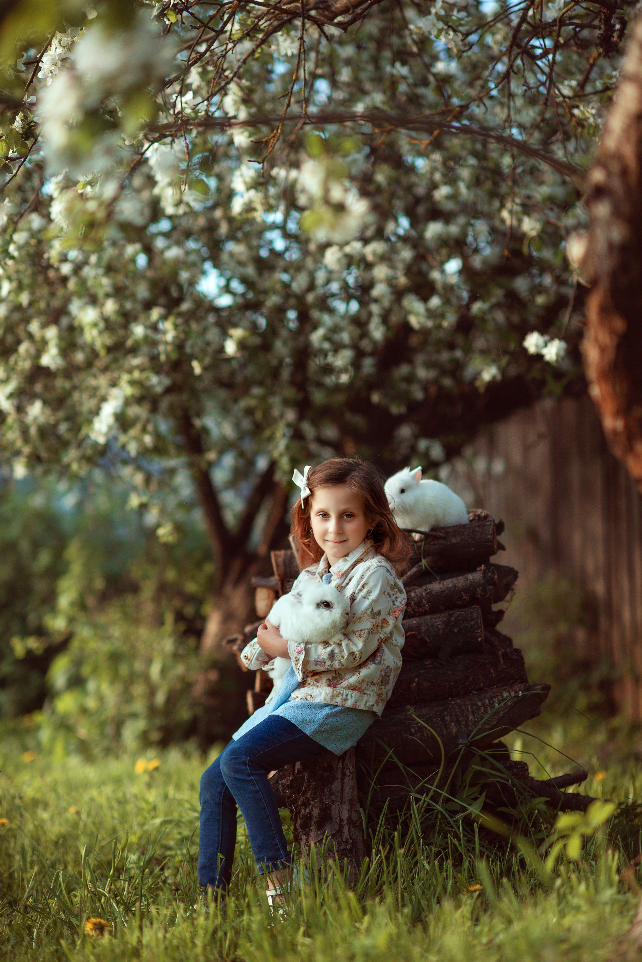 Цветение весной. Фотограф Альбина Вакунова