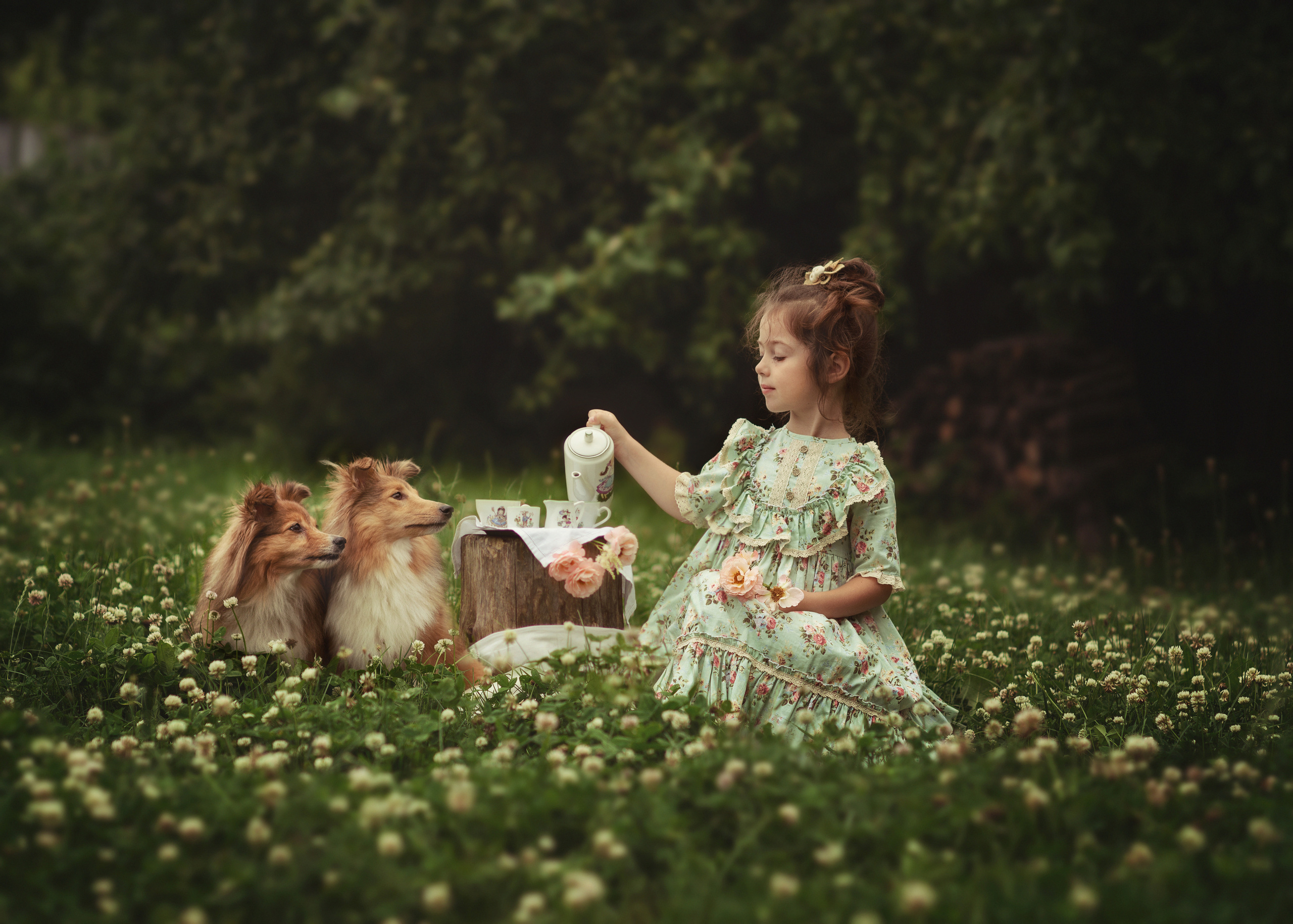 Английское чаепитие. Фотограф Альбина Вакунова