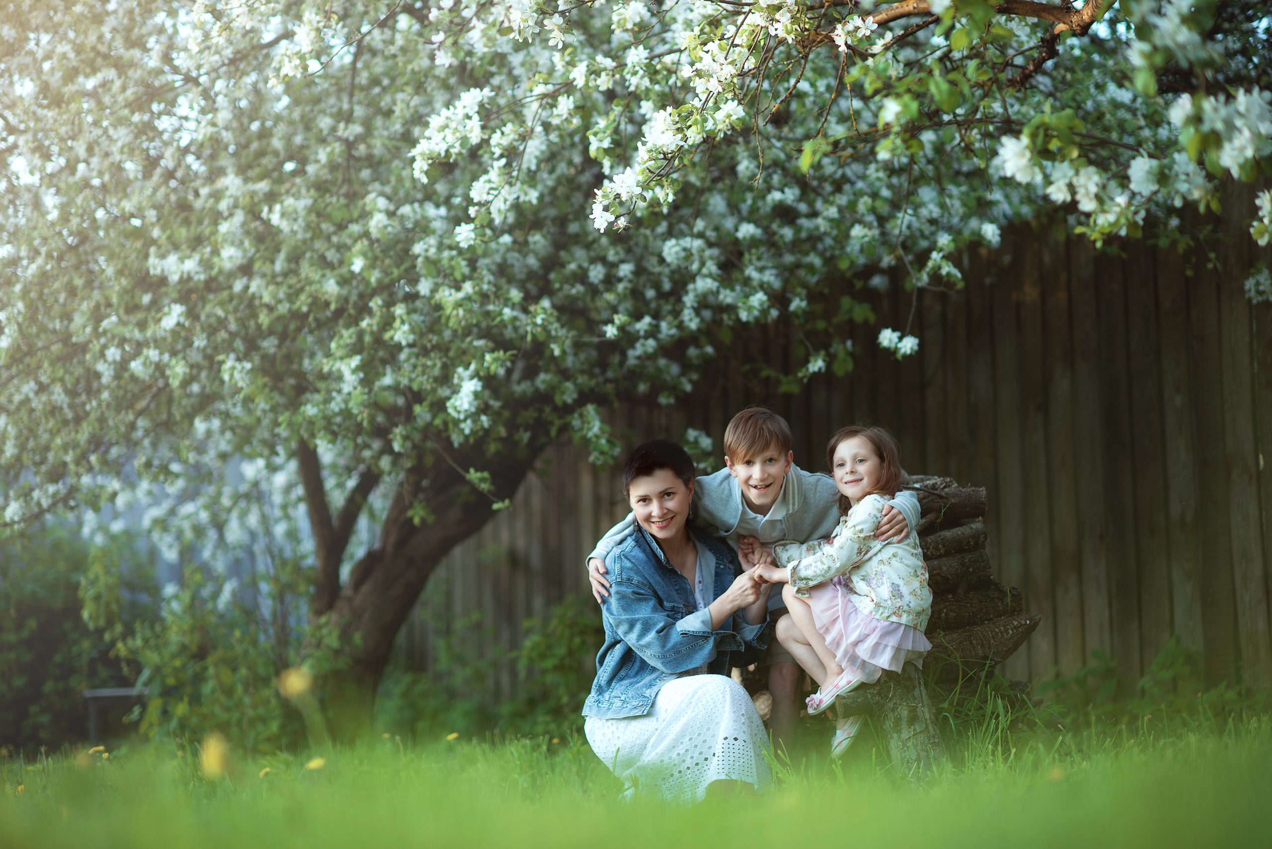 Цветение весной. Фотограф Альбина Вакунова