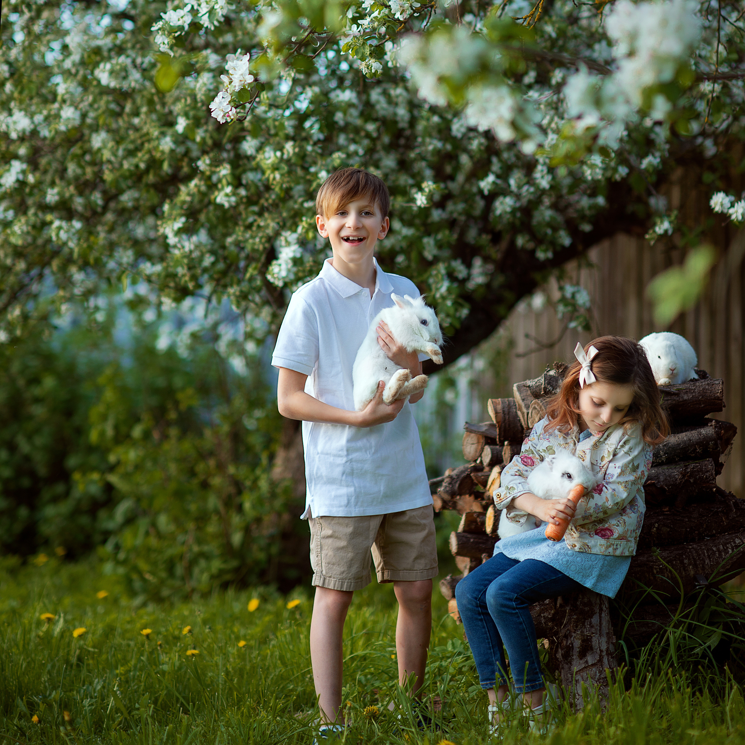 Цветение весной. Фотограф Альбина Вакунова