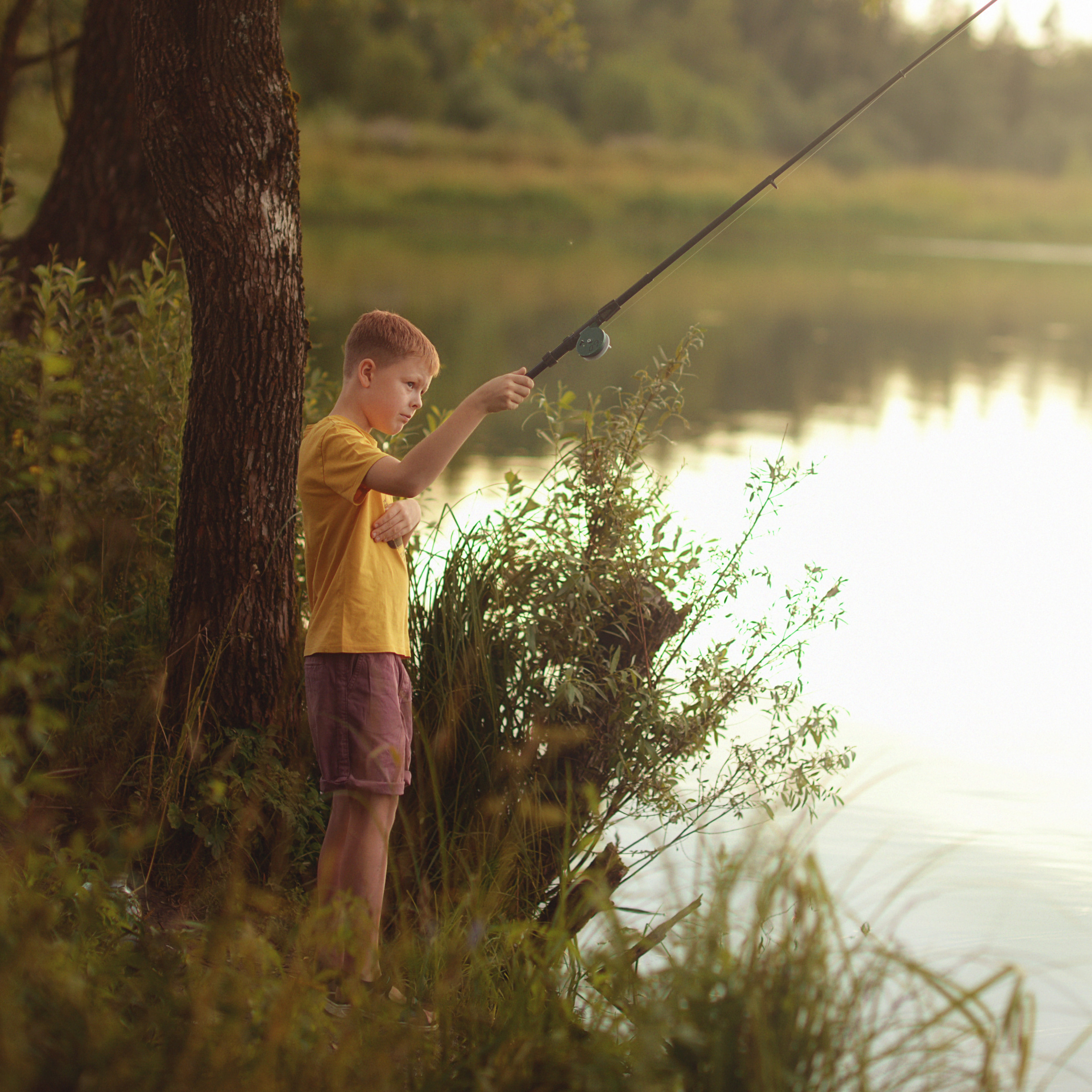 Летнее солнце. Фотограф Альбина Вакунова