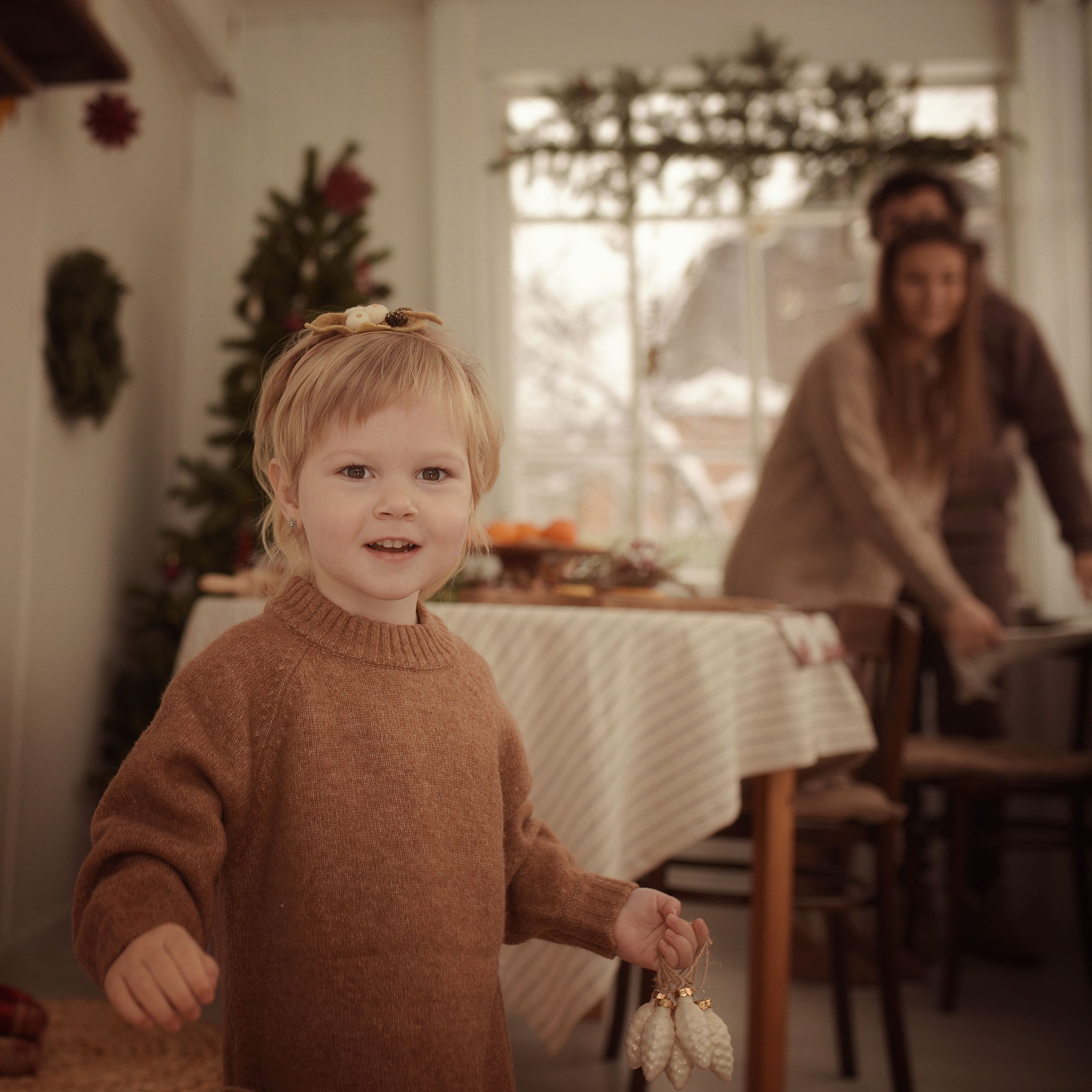 Новый год на даче. Фотограф Альбина Вакунова