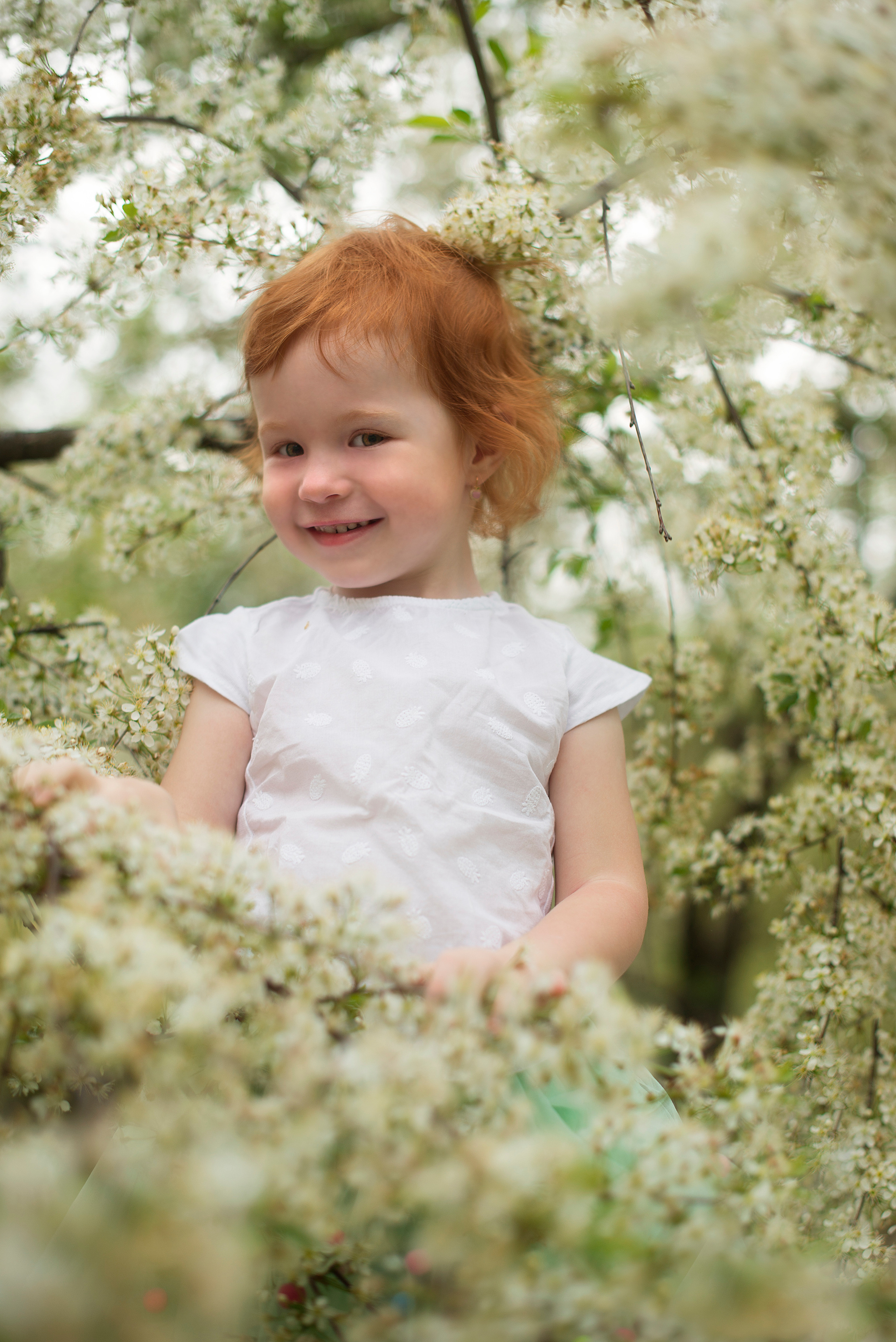 Цветение весной. Фотограф Альбина Вакунова