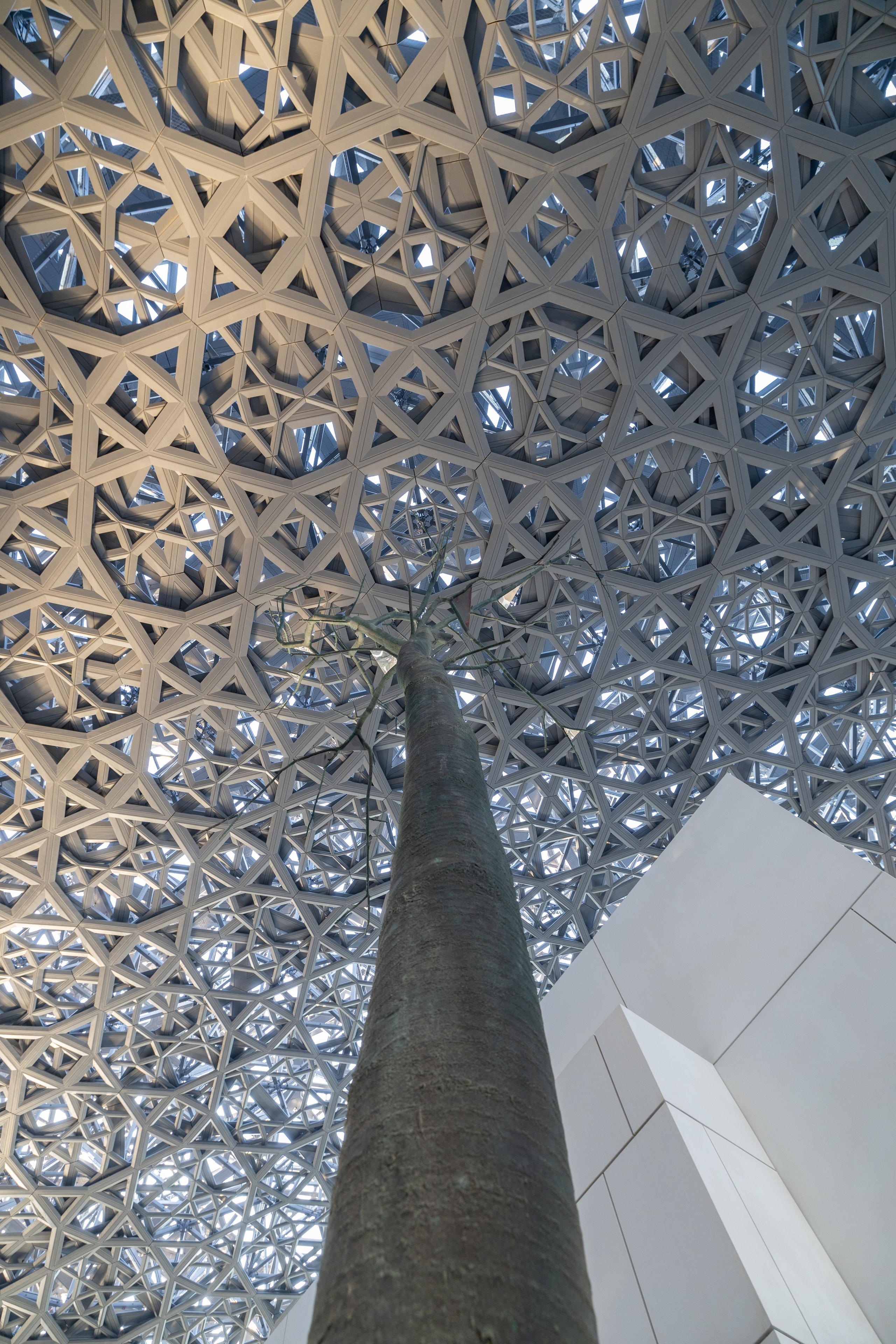 Новогодняя поездка в Дубай. Фотографирую жизнь! Московский фотограф волонтер