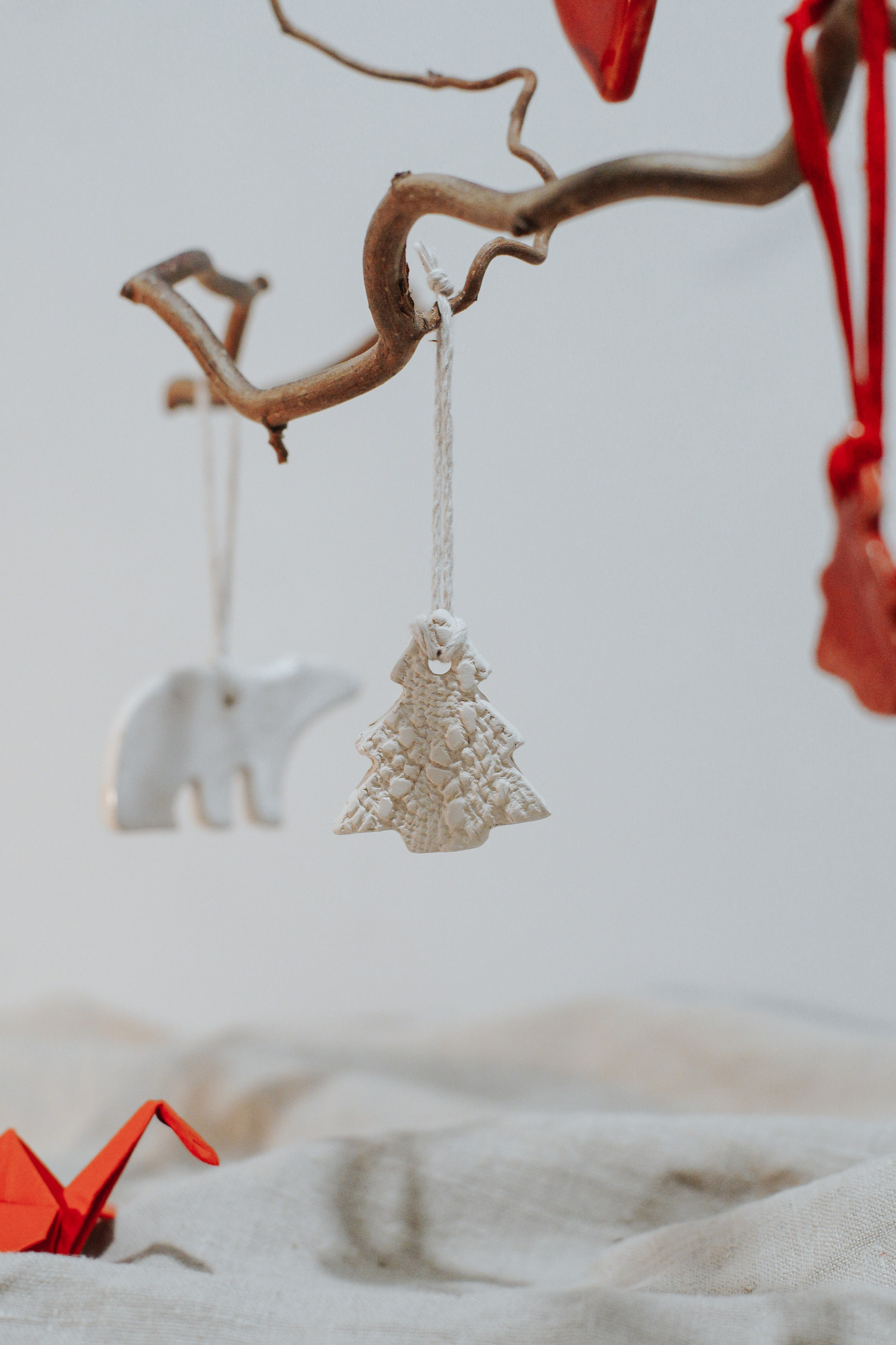 Магазин NOOK. Катя Кудринская. Фотограф на мероприятие СПб. Семейный фотограф