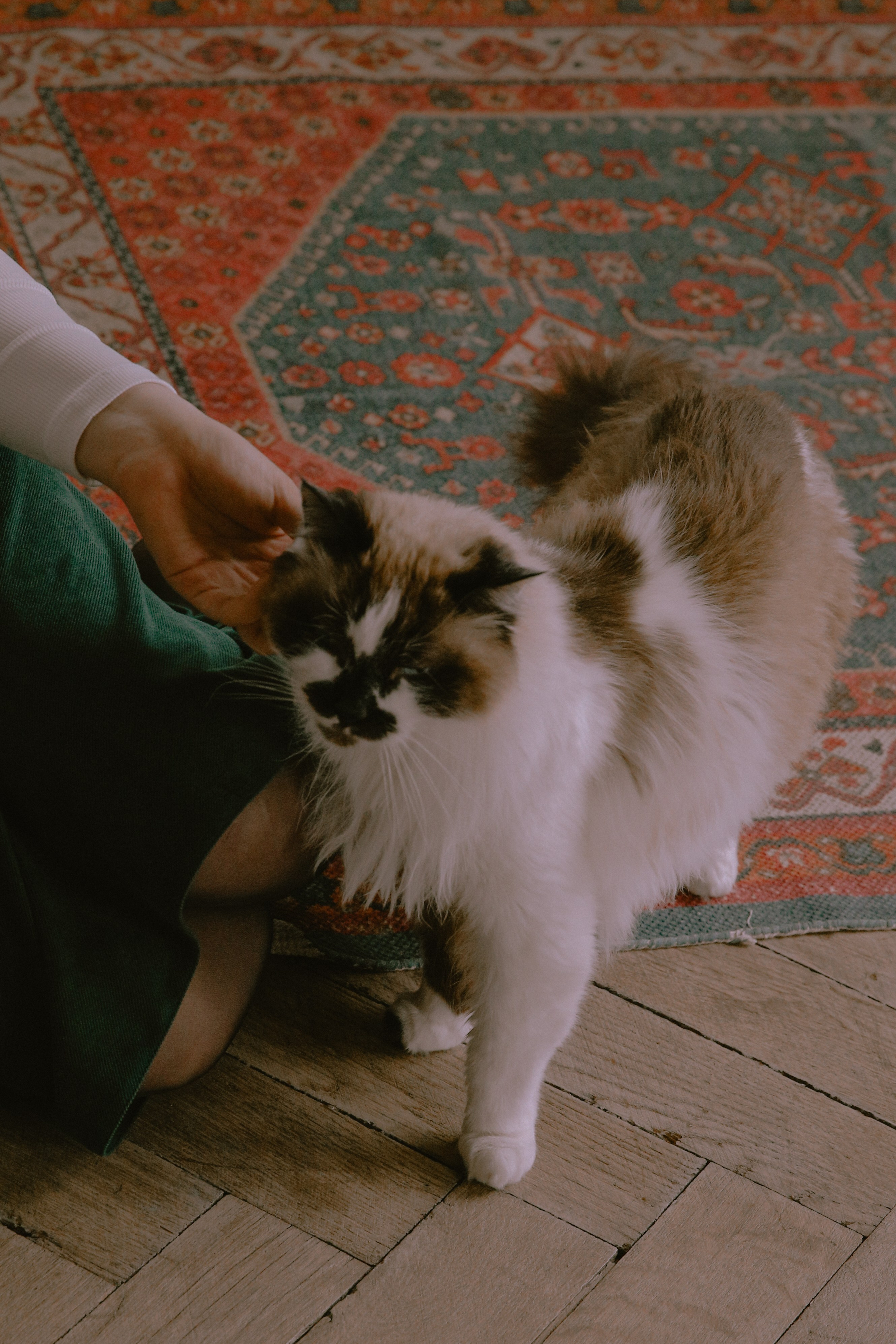 Данил и Диана. Фотограф Сухой лог Екатеринбург