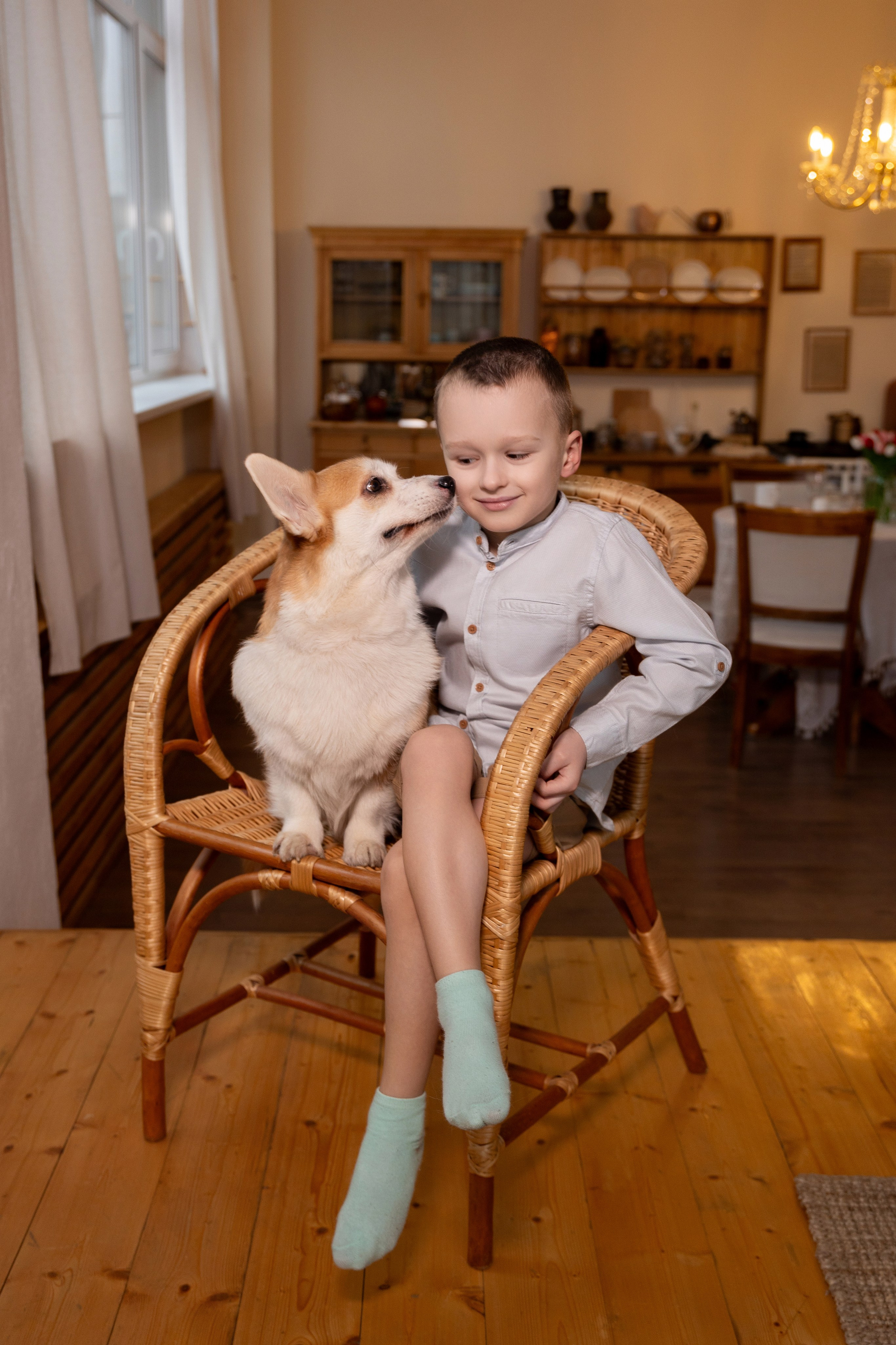 Фотосессия с корги. Семейный и свадебный фотограф в Санкт-Петербурге Татьяна Швыкова