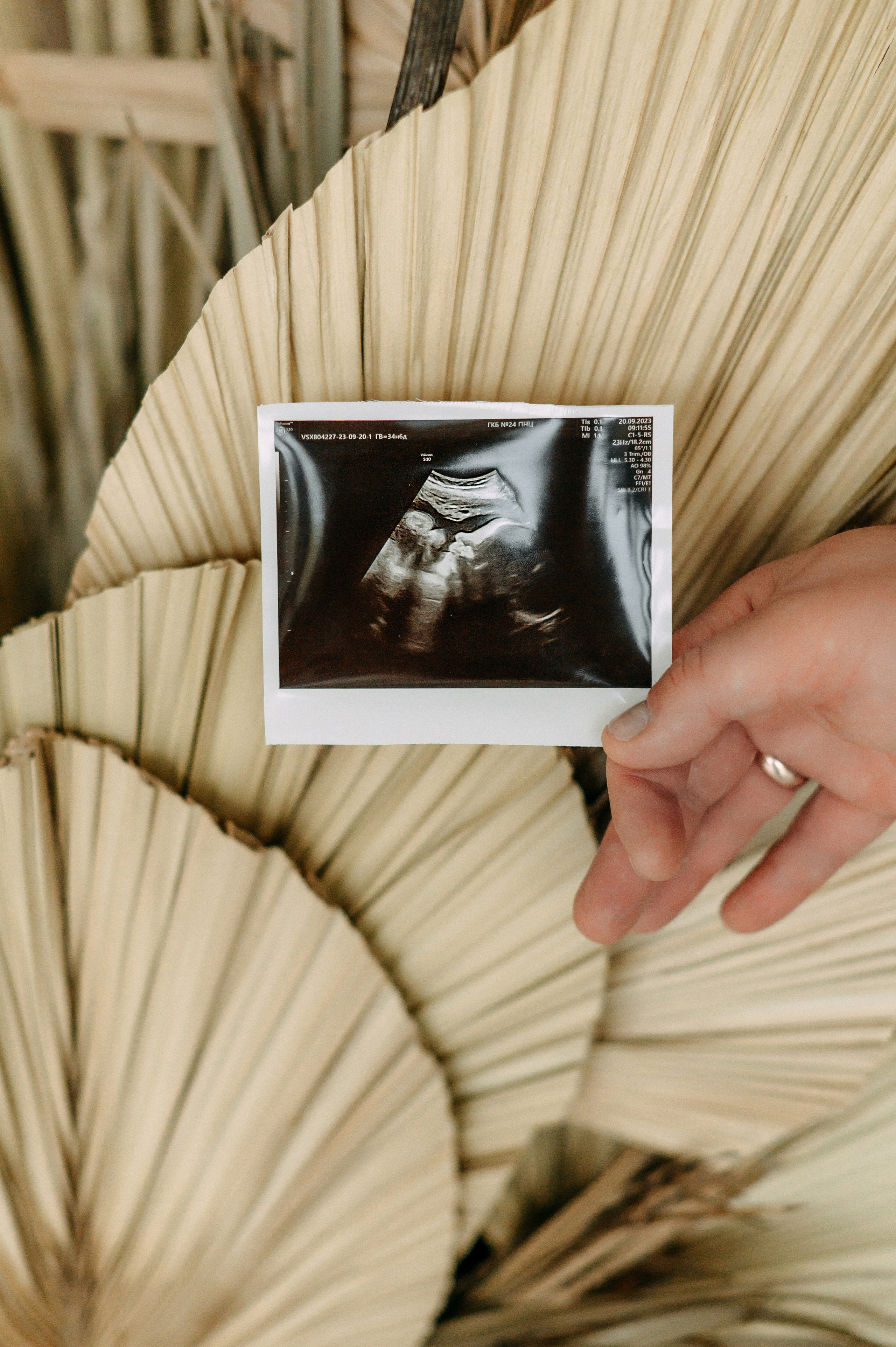 Юля и Витя. Свадебный фотограф, фотограф беременности Дарья Доценко