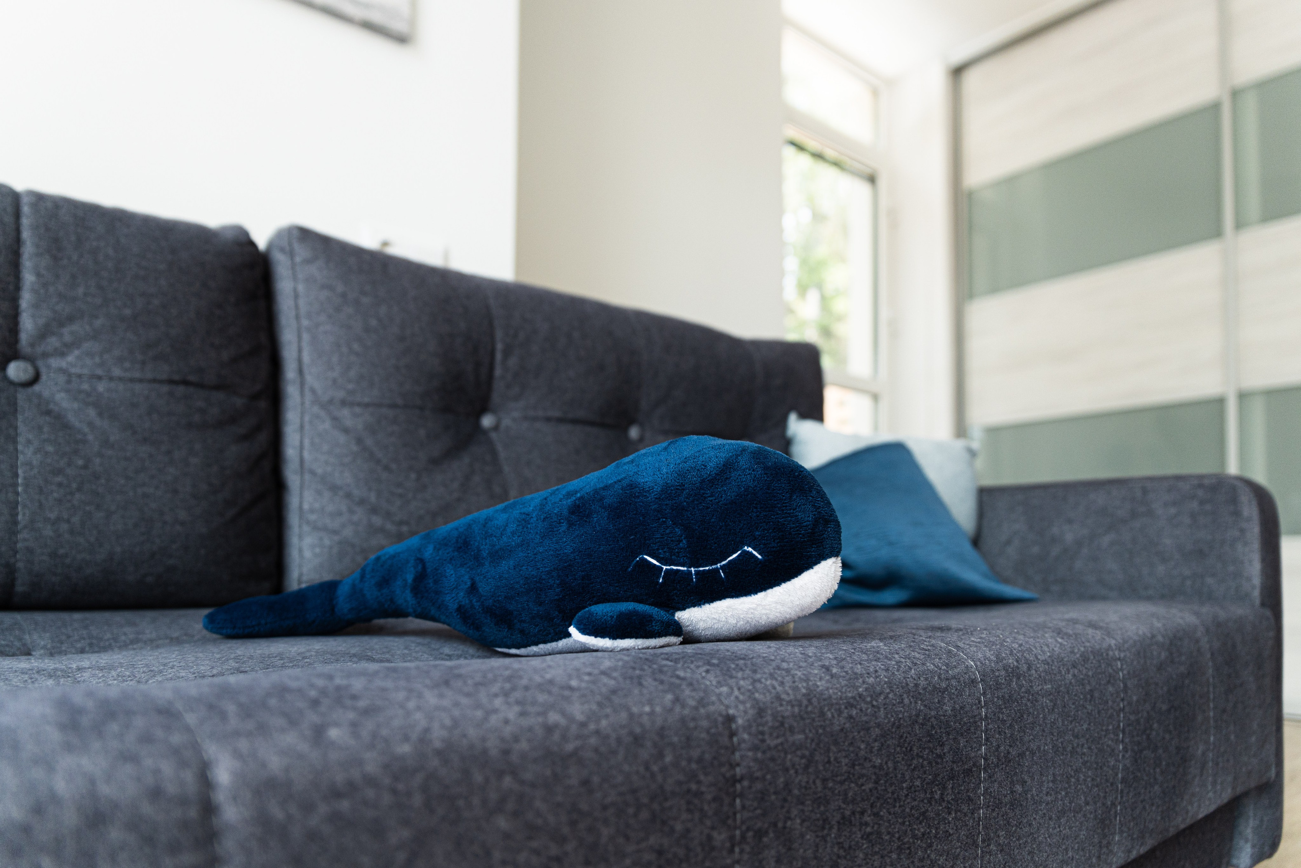 WHALE APART Apartments Svetlogorsk. Content shooting. KRIS KRUPINNIKOVA