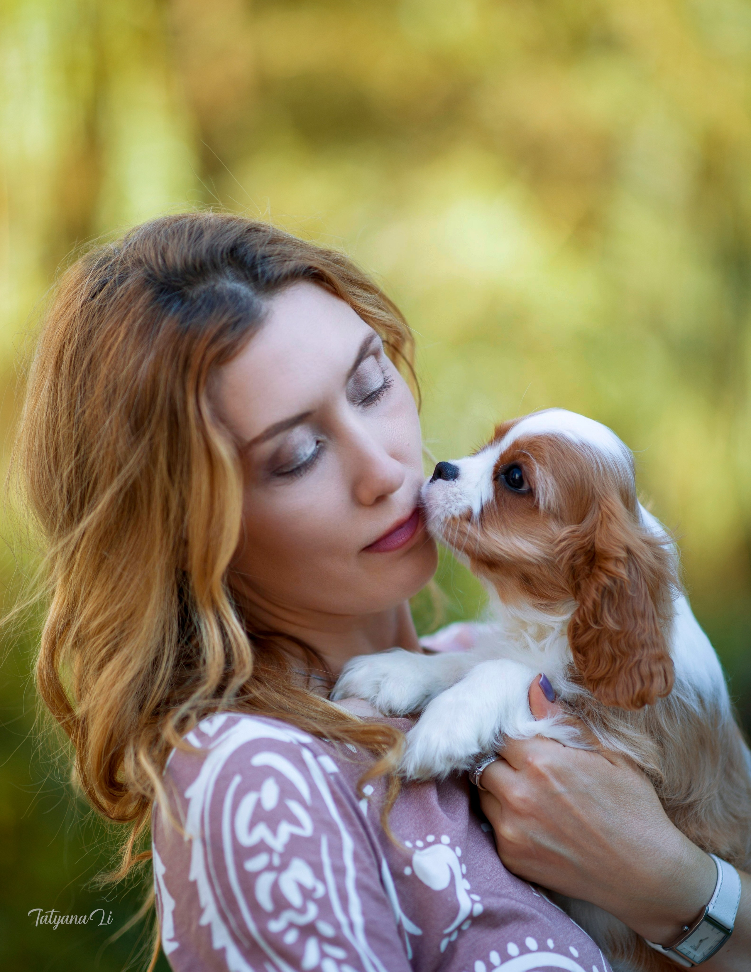 Кавалер-Кинг-Чарльз-Спаниель. Фотограф — анималист Татьяна Ли