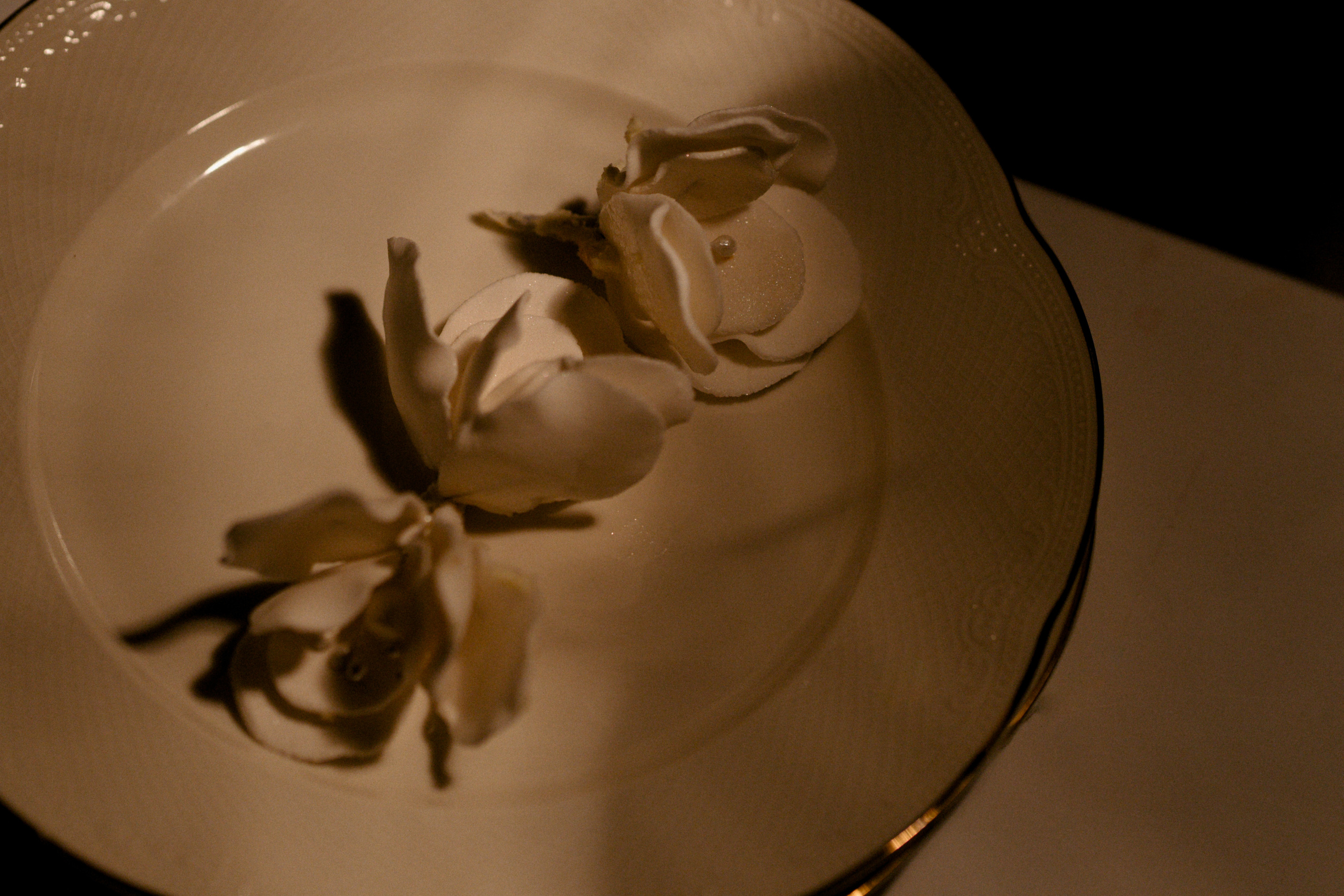 M|D. Свадебный фотограф Таня Караисаева