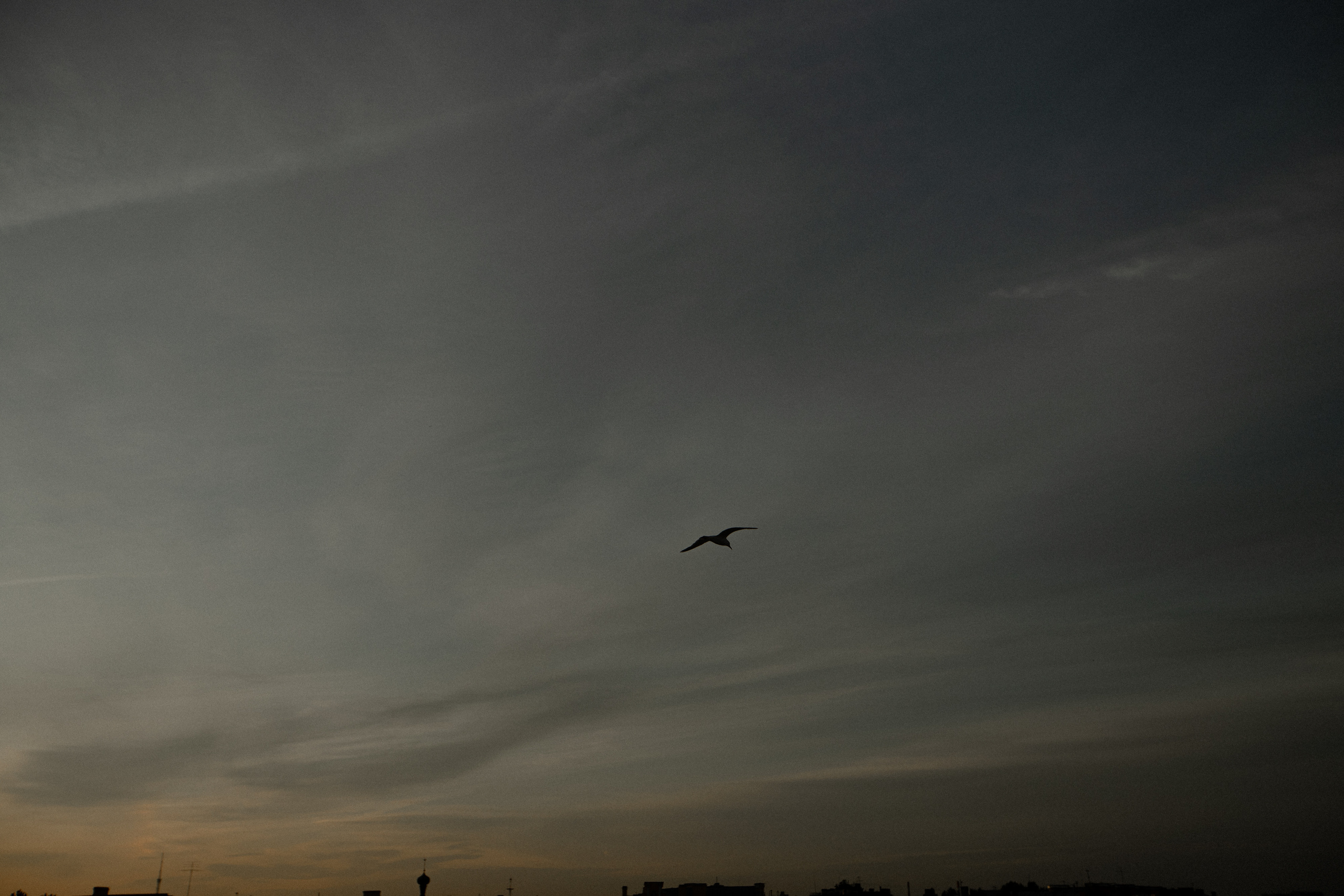 M|D. Свадебный фотограф Таня Караисаева