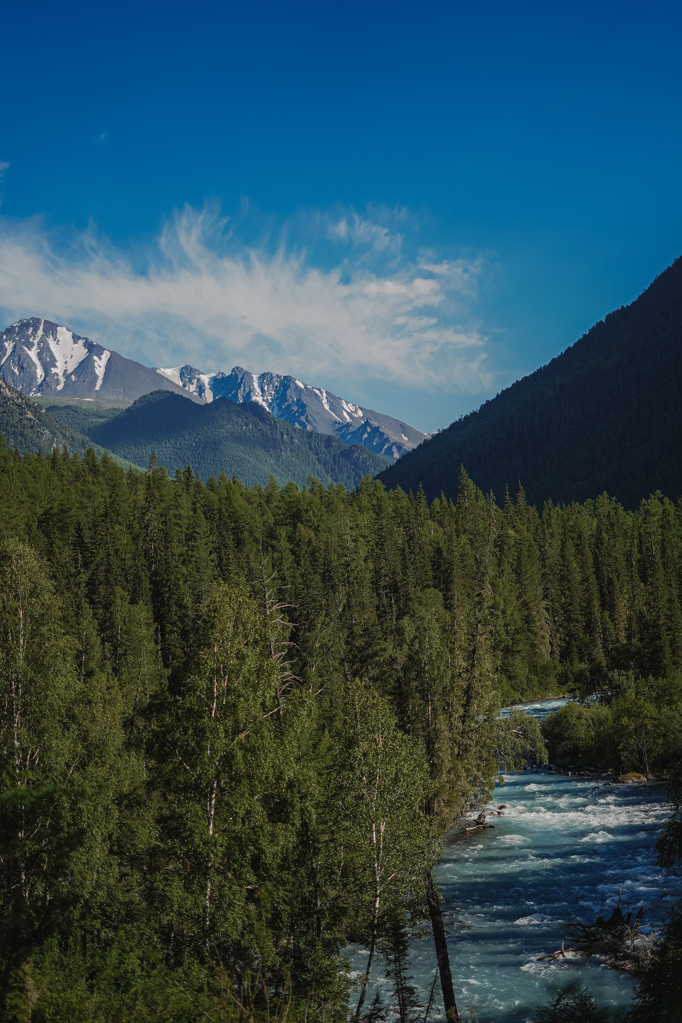 Алтай, поход к Белухе 2023. Фотограф Ольга Пучкова