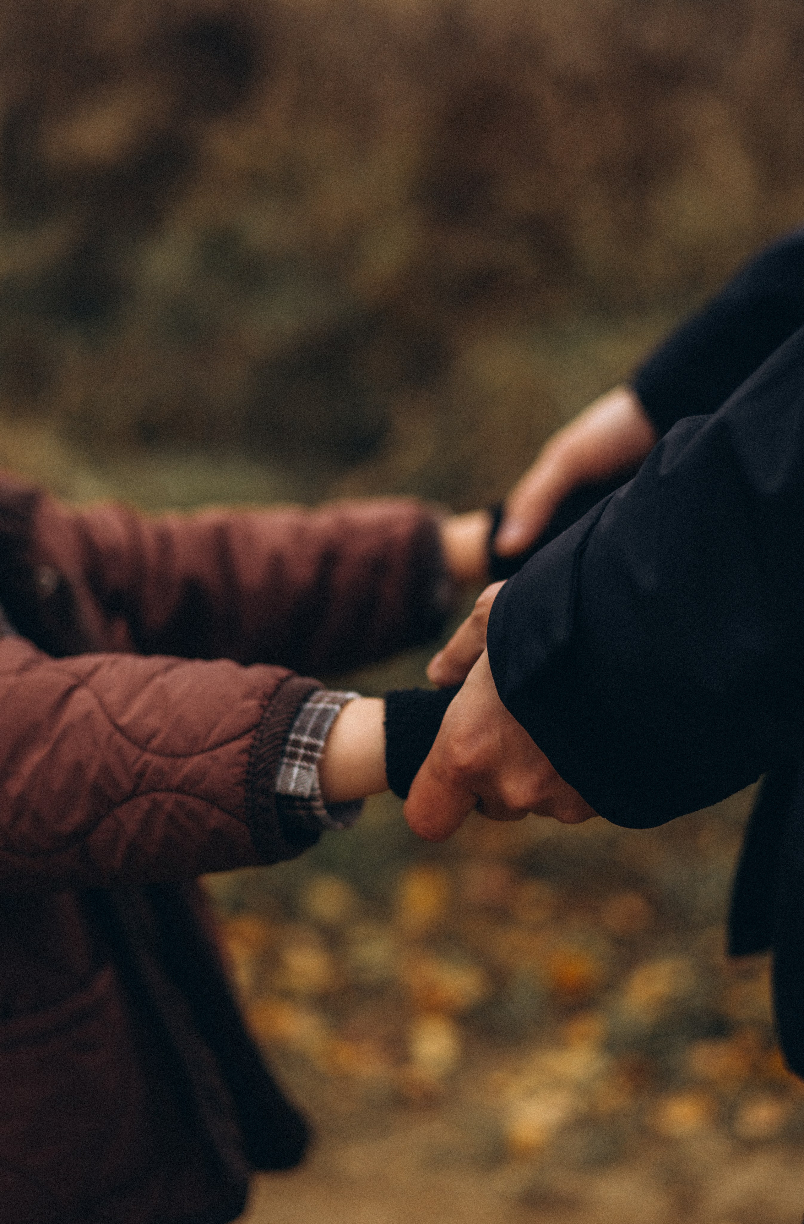 Саша, Влад и Паша. Колтушские высоты. Главная