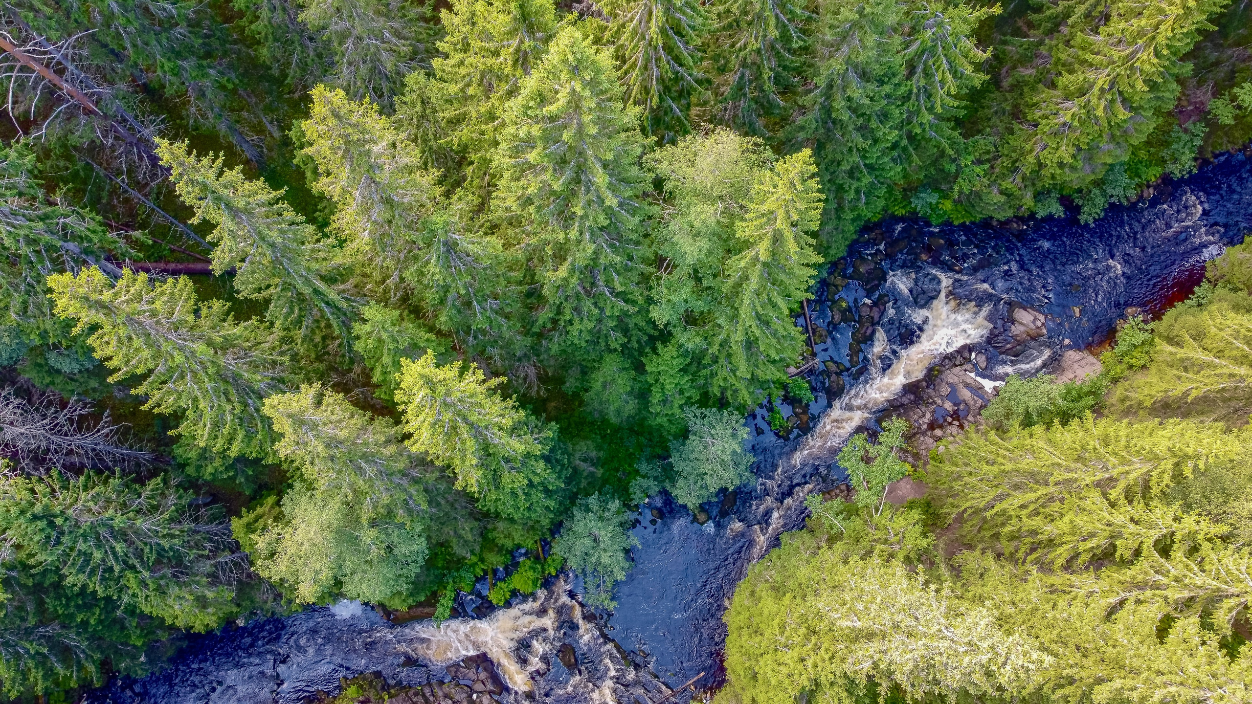 Пейзаж и городские съёмки. Семейный, уличный и пейзажный фотограф в Москве Никифоров Виктор