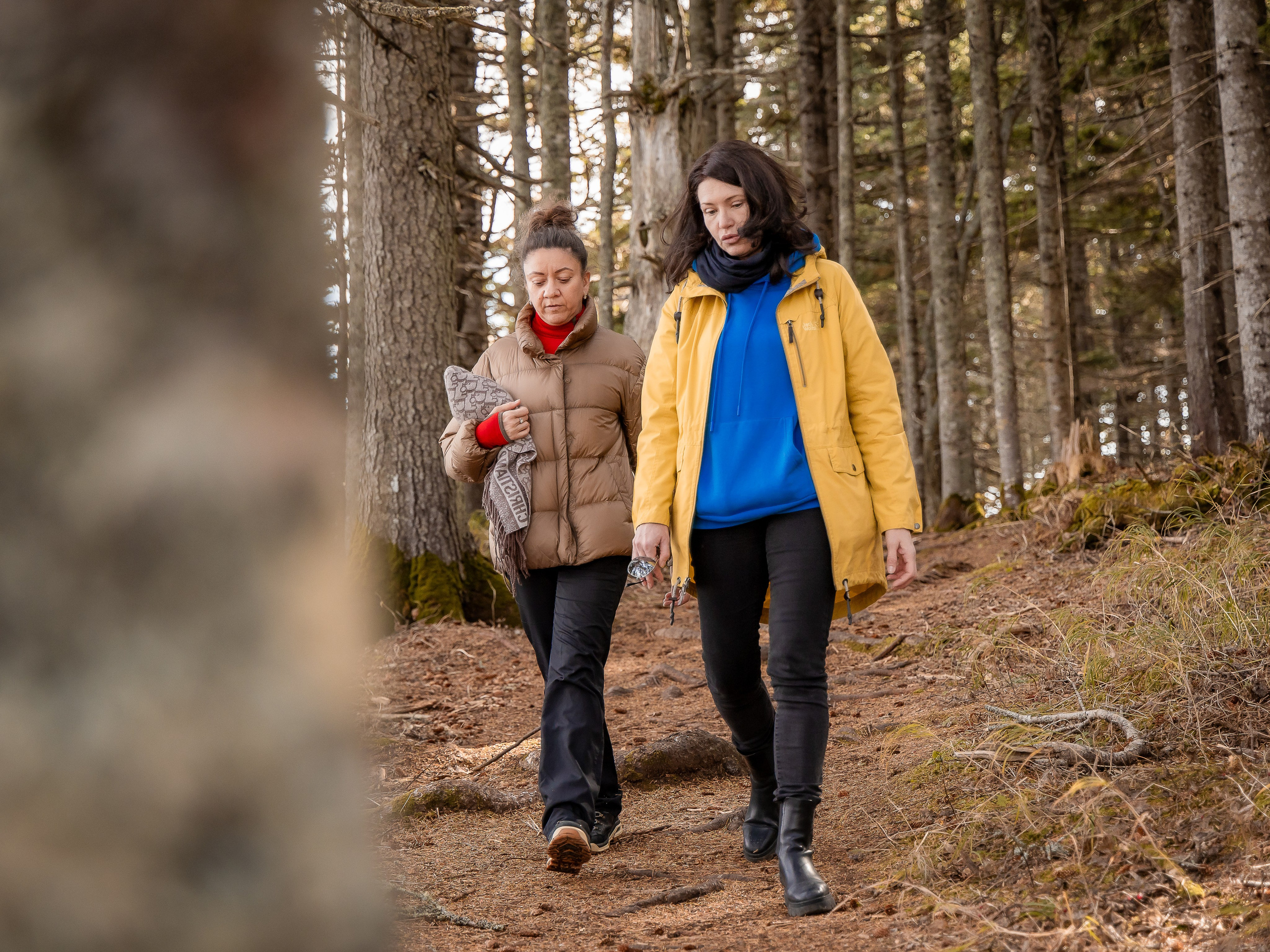 Мыс Великан. Инга Кузьминская ТОП-фотограф г. Корсаков