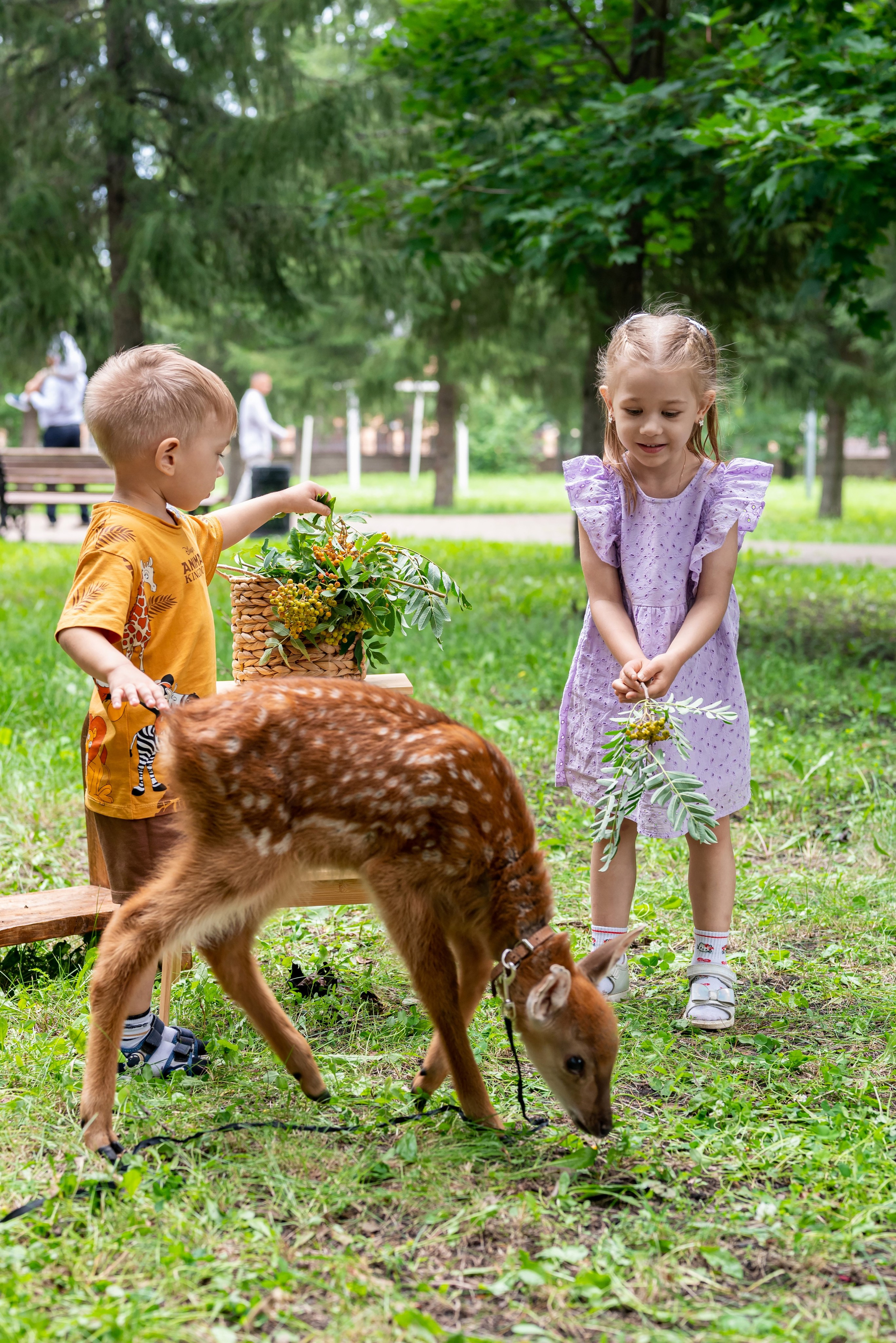 Фотопроект *Оленёнок Бэмби*. Фотограф в городе Салават
