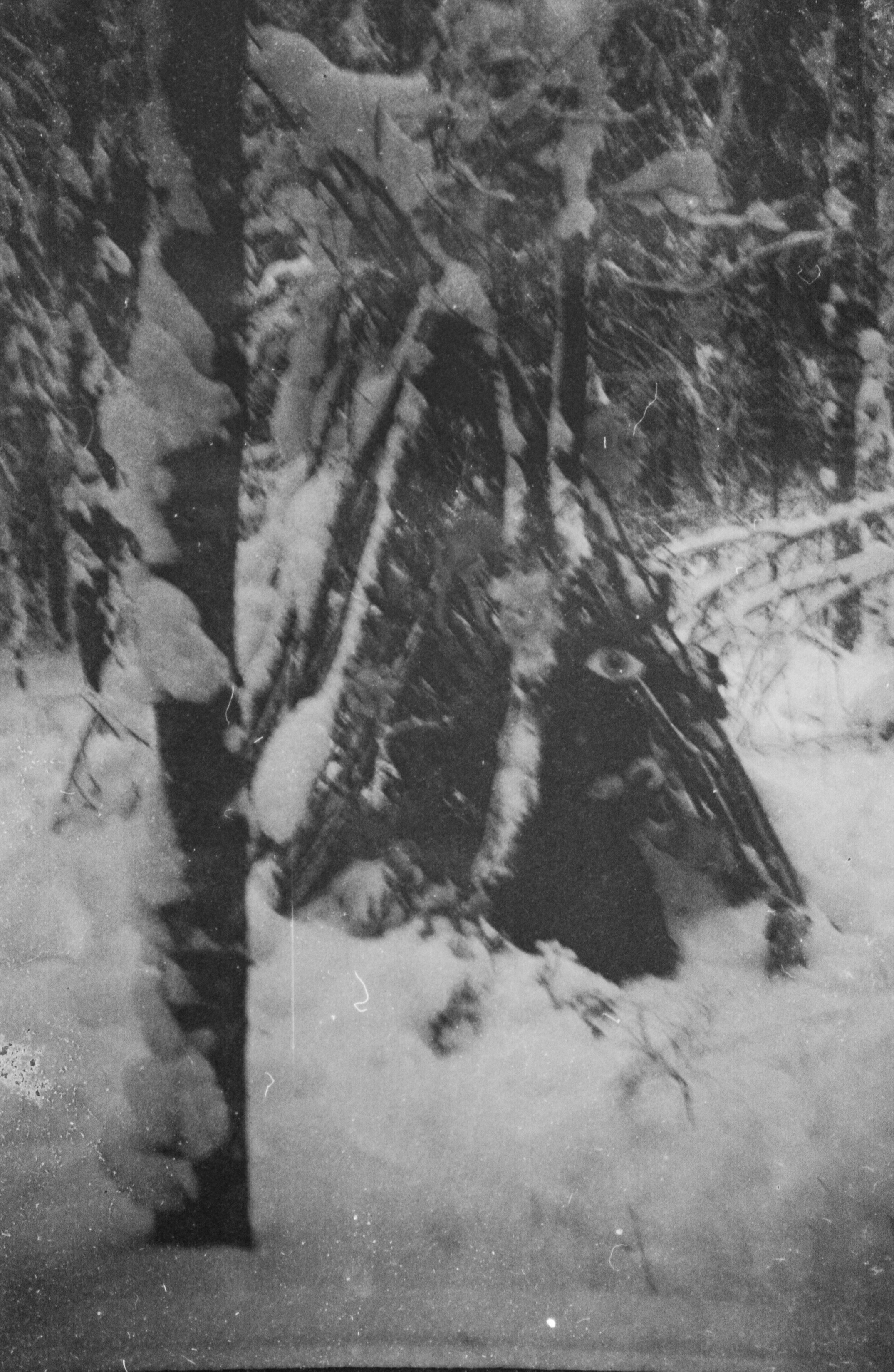 Татьяна Белякова — Фотохудожник | Концептуальная аналоговая фотография