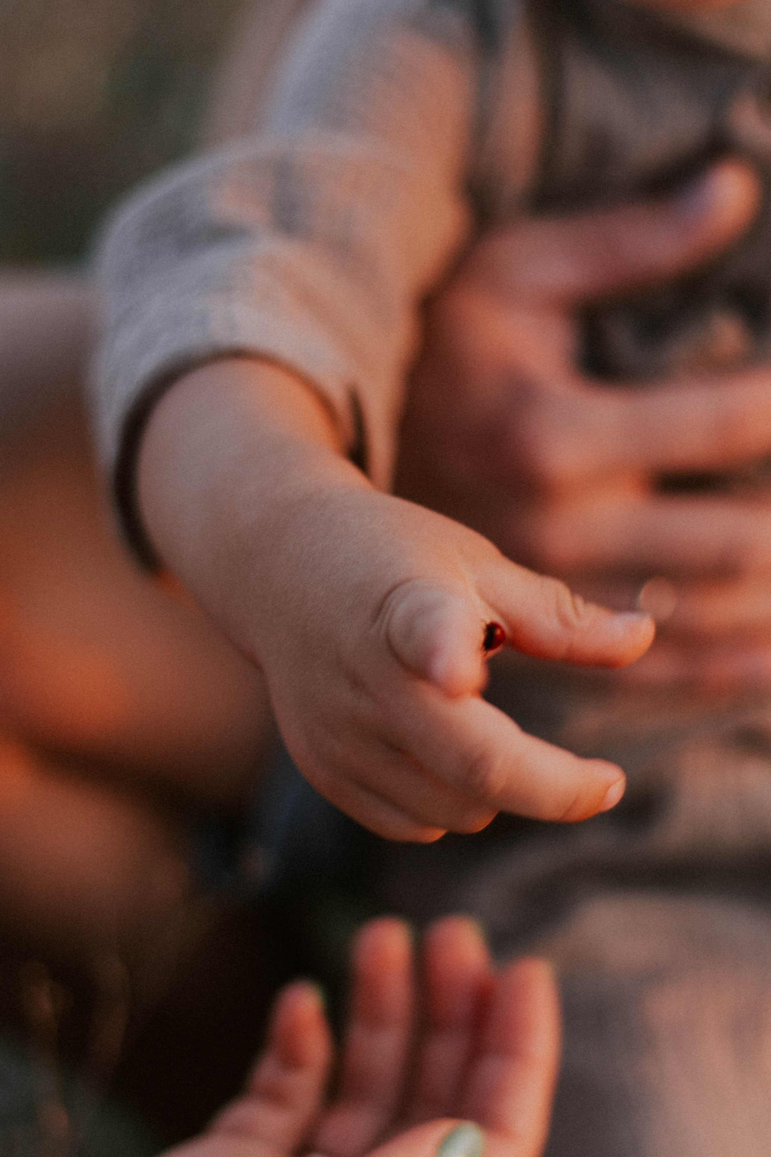 Гармония. Алена Орлова | Фотограф | Севастополь