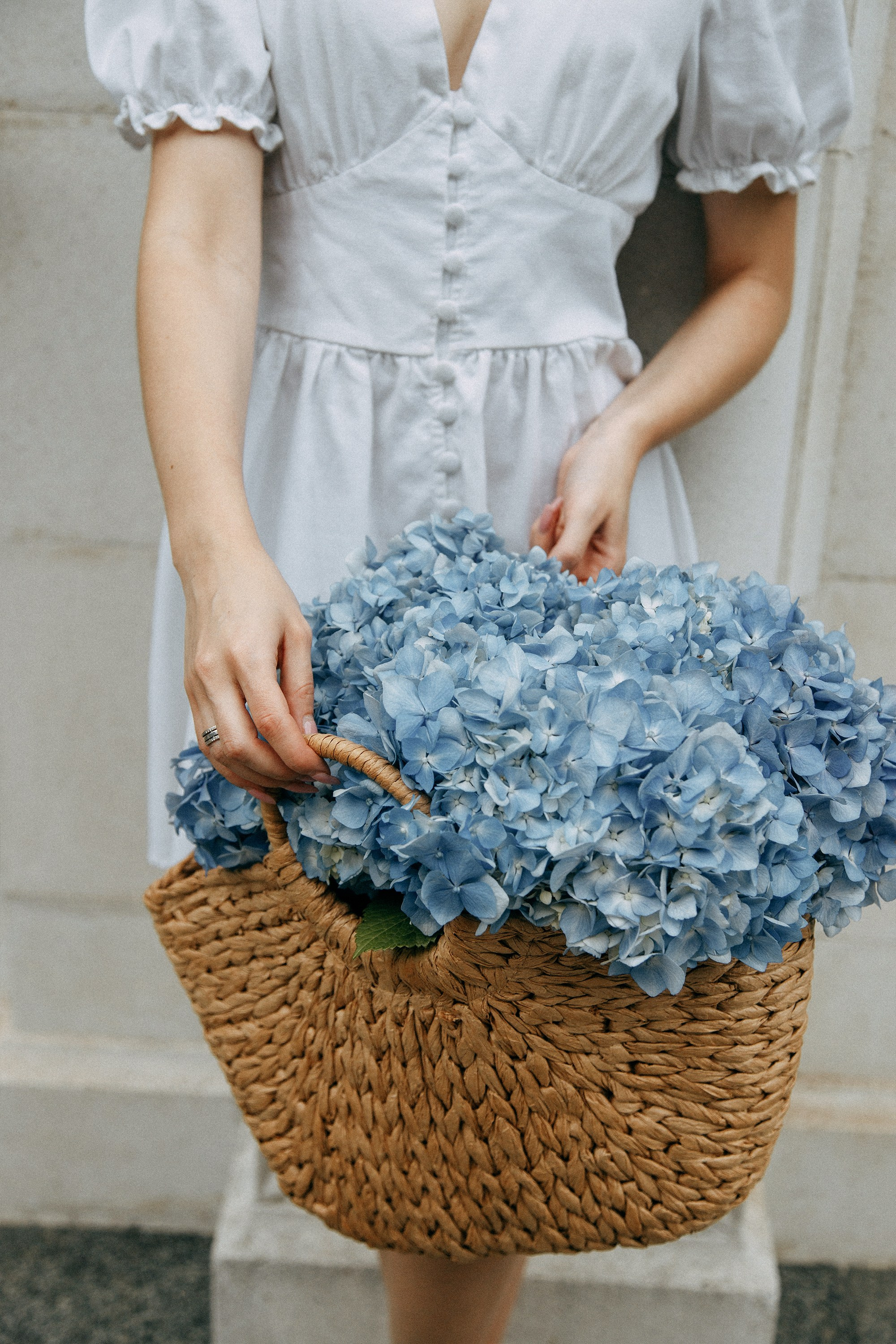 Фотосессия с гортензиями в Батуми