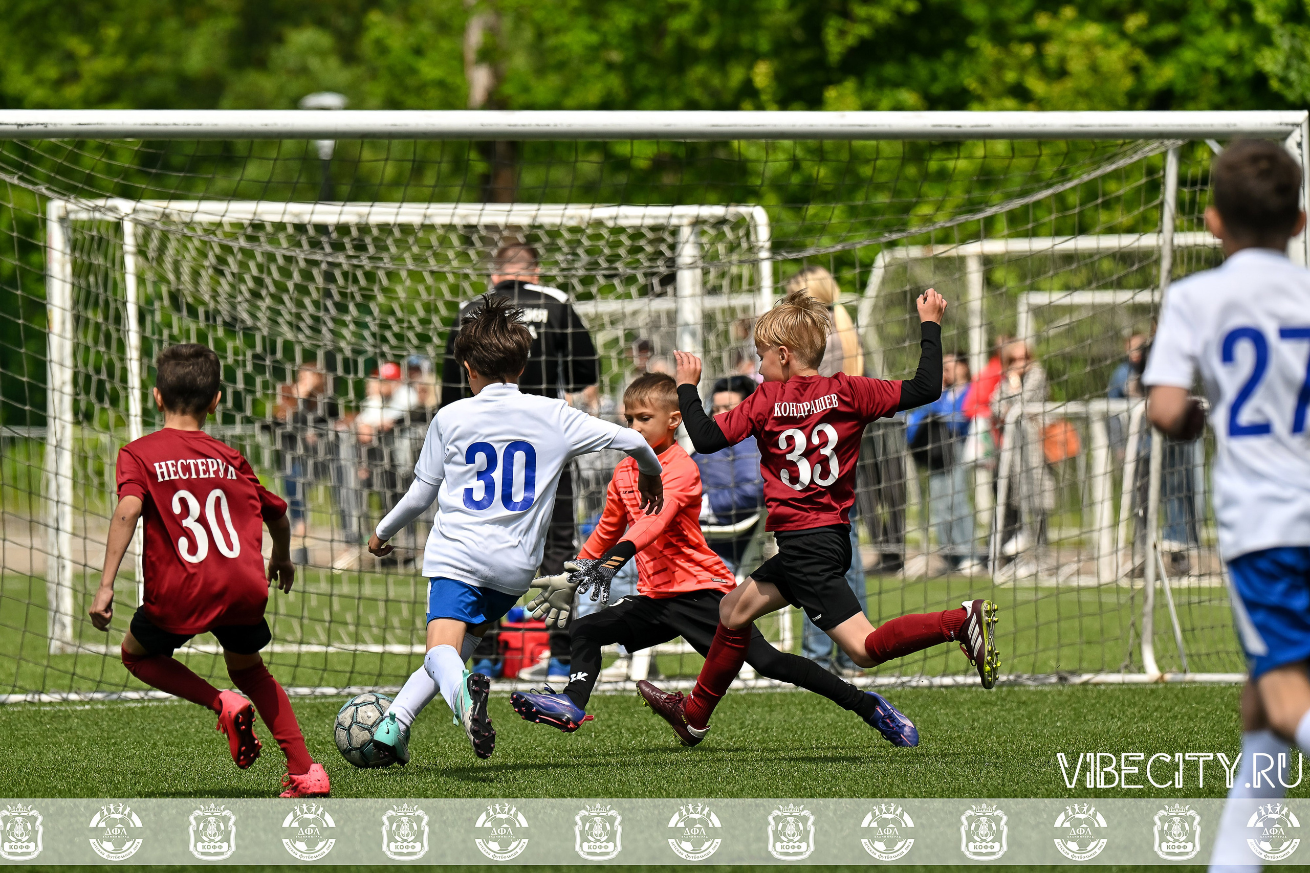 Большие Звезды светят Малым. VIBECITY.RU Вайб Сити Ру Фоторепортажи Фотоотчеты Калининград