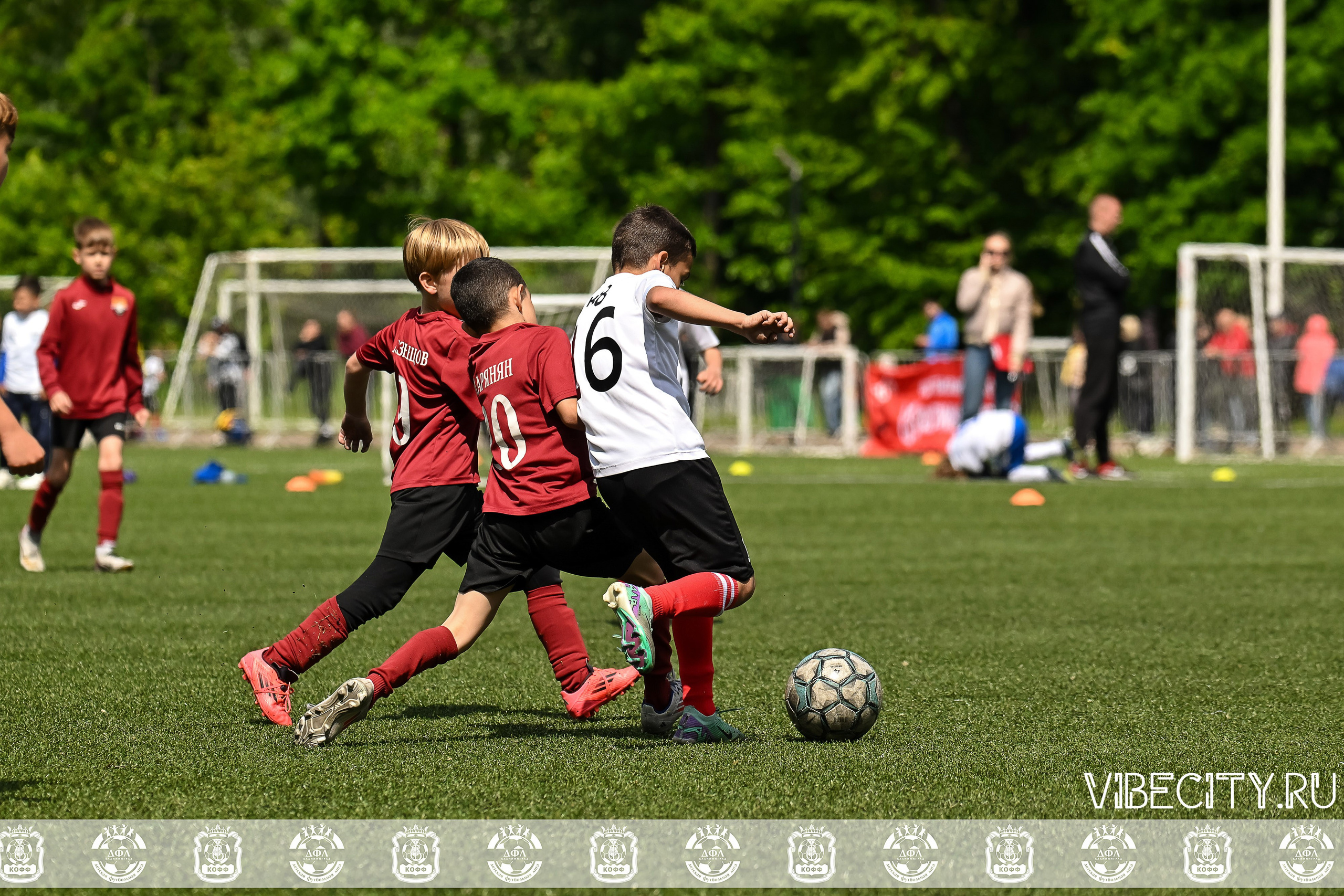 Большие Звезды светят Малым. VIBECITY.RU Вайб Сити Ру Фоторепортажи Фотоотчеты Калининград