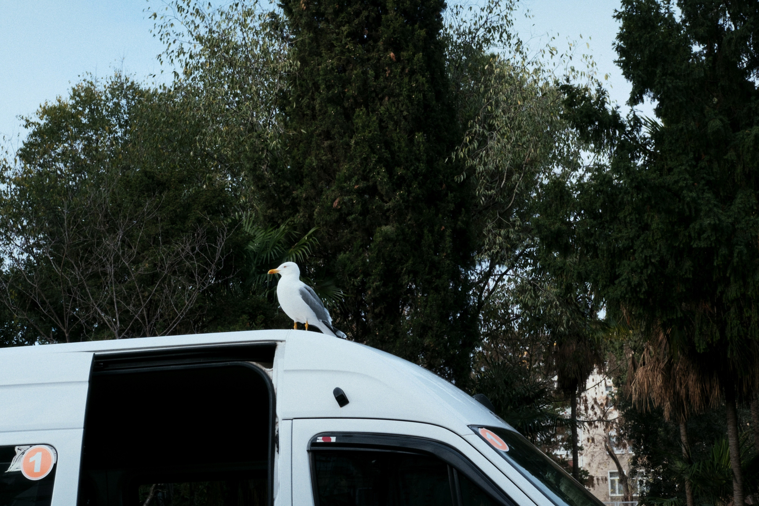 Kadikoy x Moda, Istanbul / Türkey AW25. Фотограф Юрин Евгений