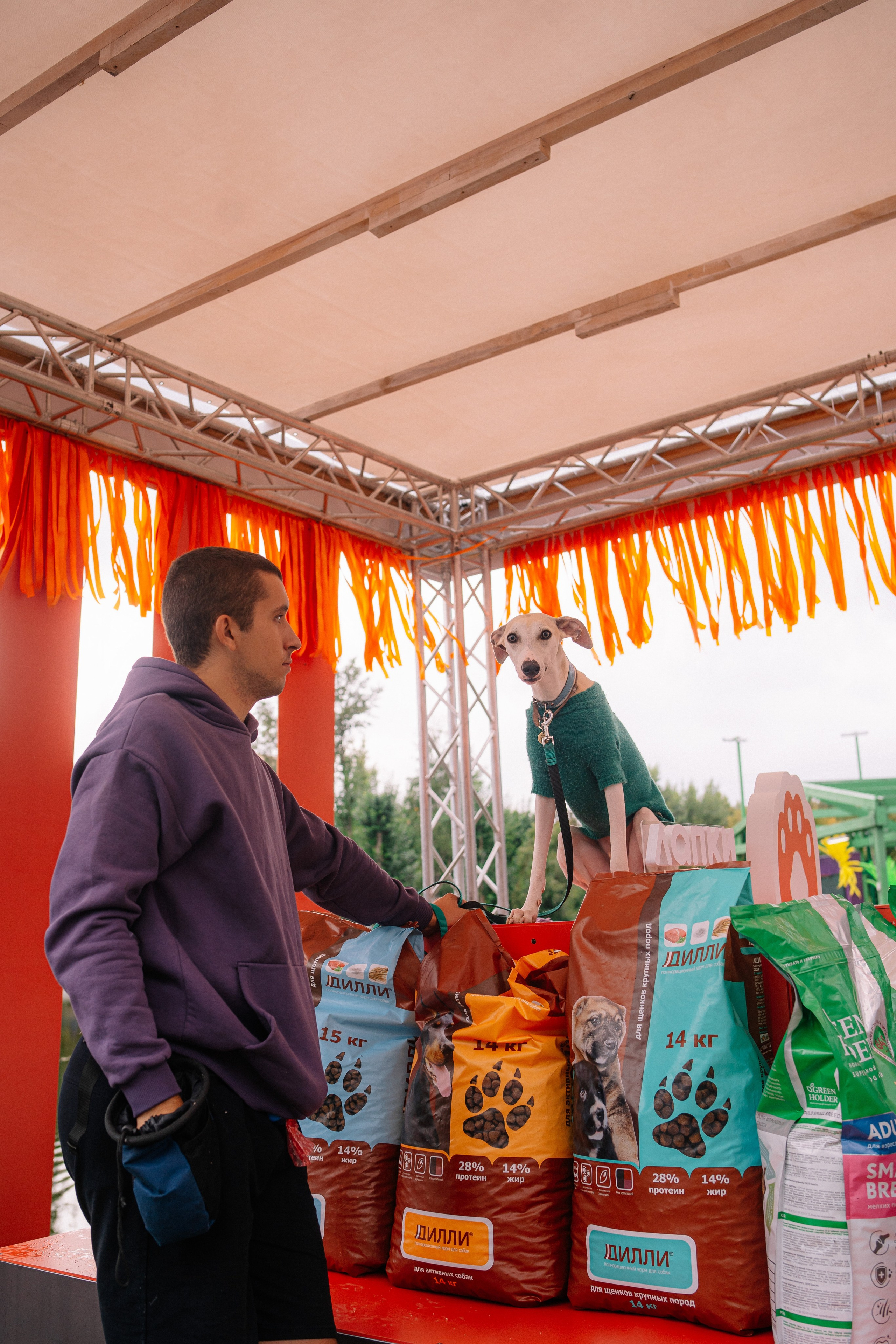 Фотоотчет ЛАПКИ ТАПКИ в Барнауле. Репортажный (Event) фотограф в Барнауле | Даниил Маркин | Качество и вайб