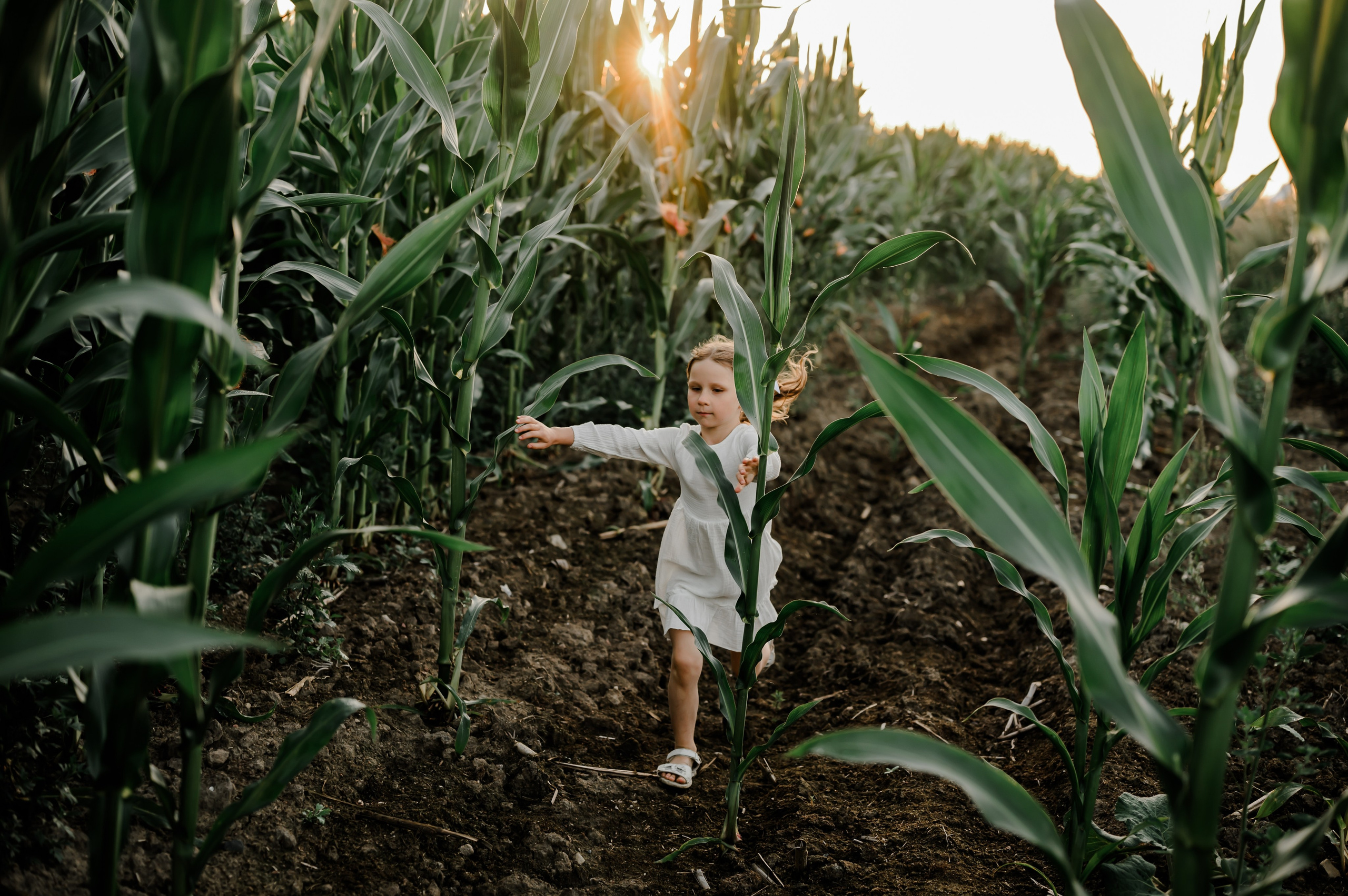 Кукуруза+сено, семейная фотосессия. Свадебный и семейный фотограф Евгения Кононова