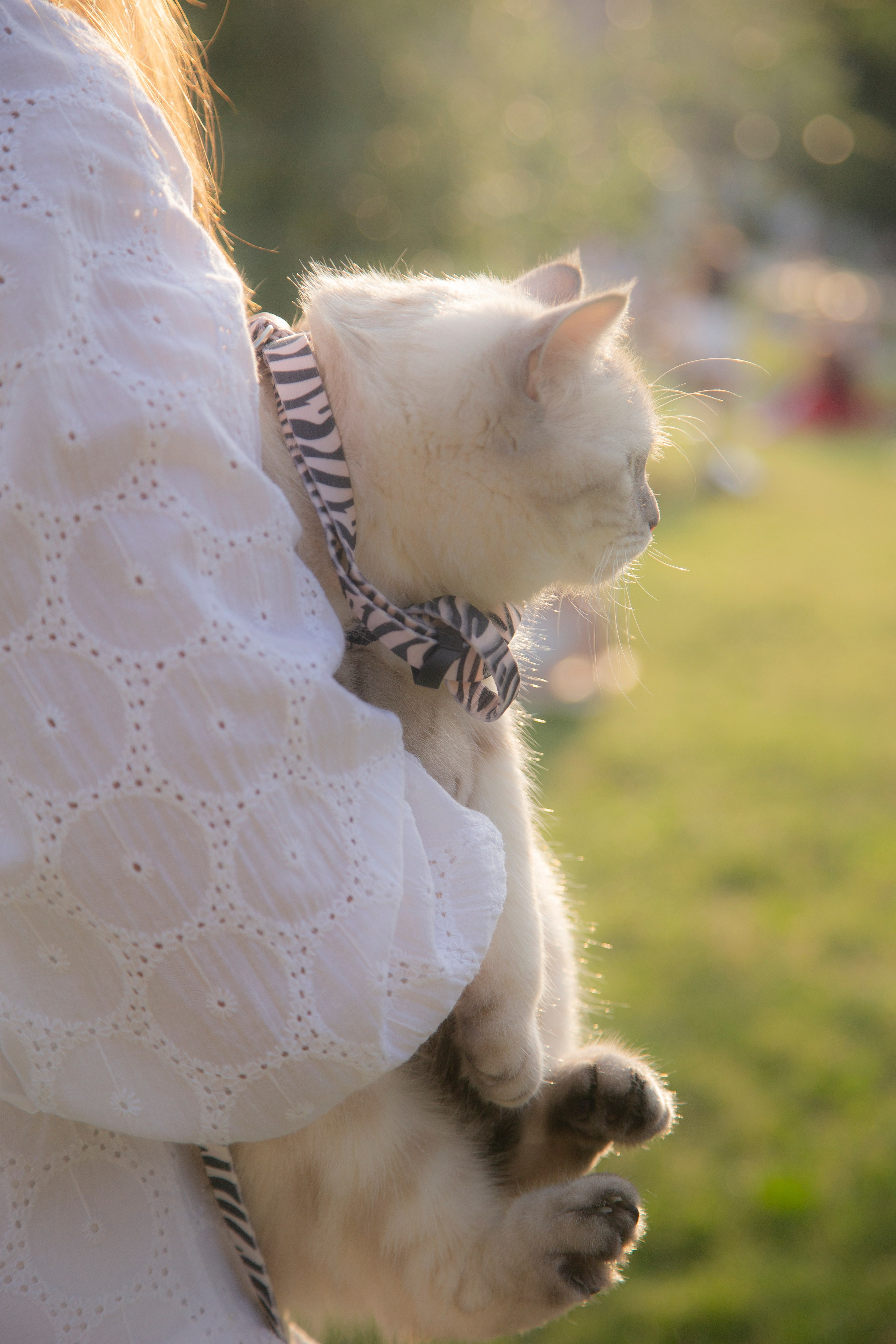 В моде тёплые коты. Репортажный и портретный фотограф Казань / Горячих Полина