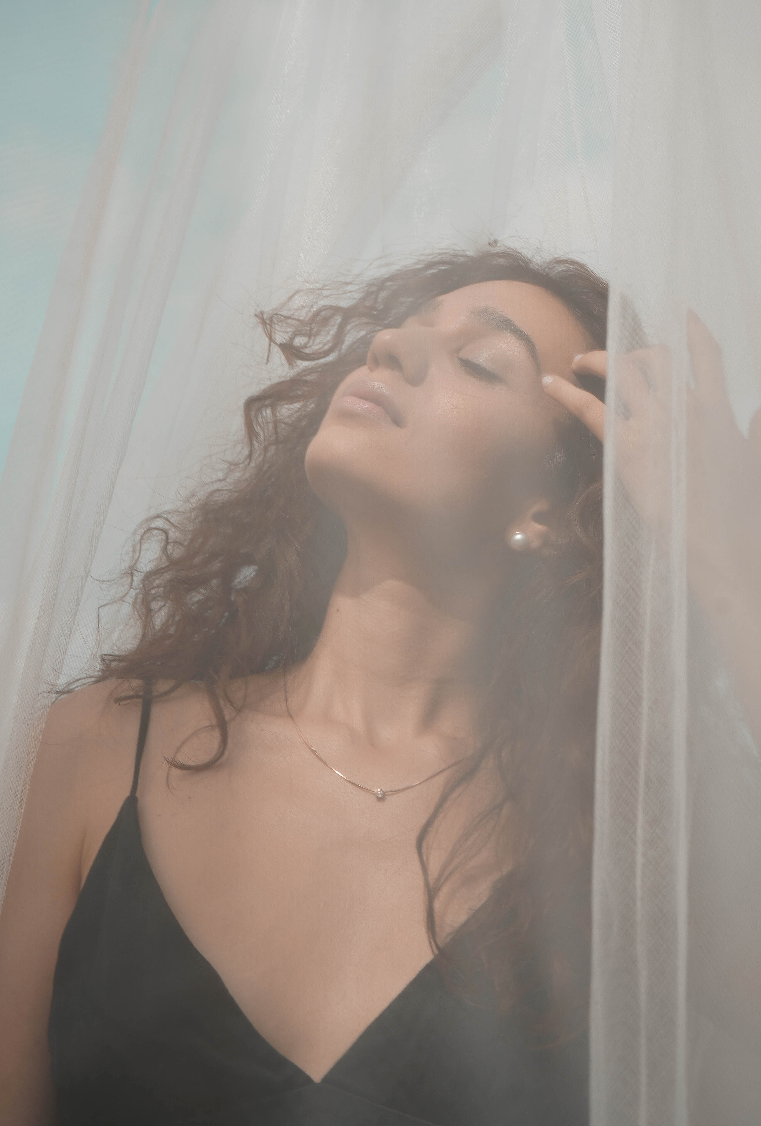 Ани Минасян. Norikyan Diana