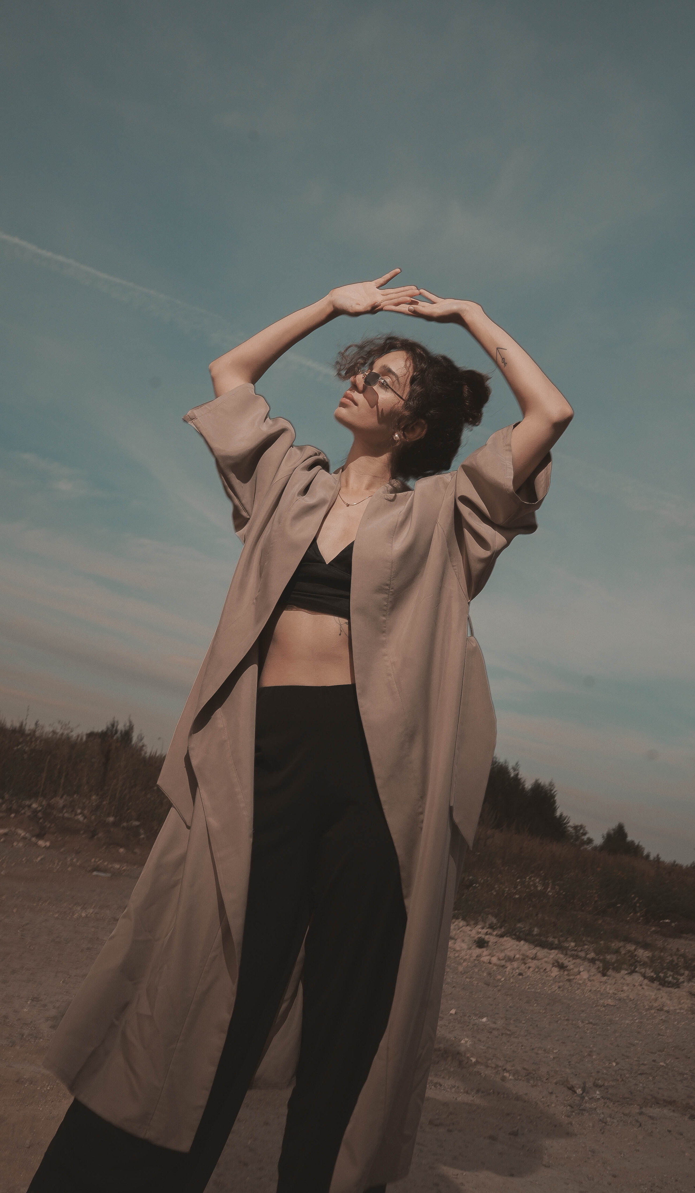 Ани Минасян. Norikyan Diana