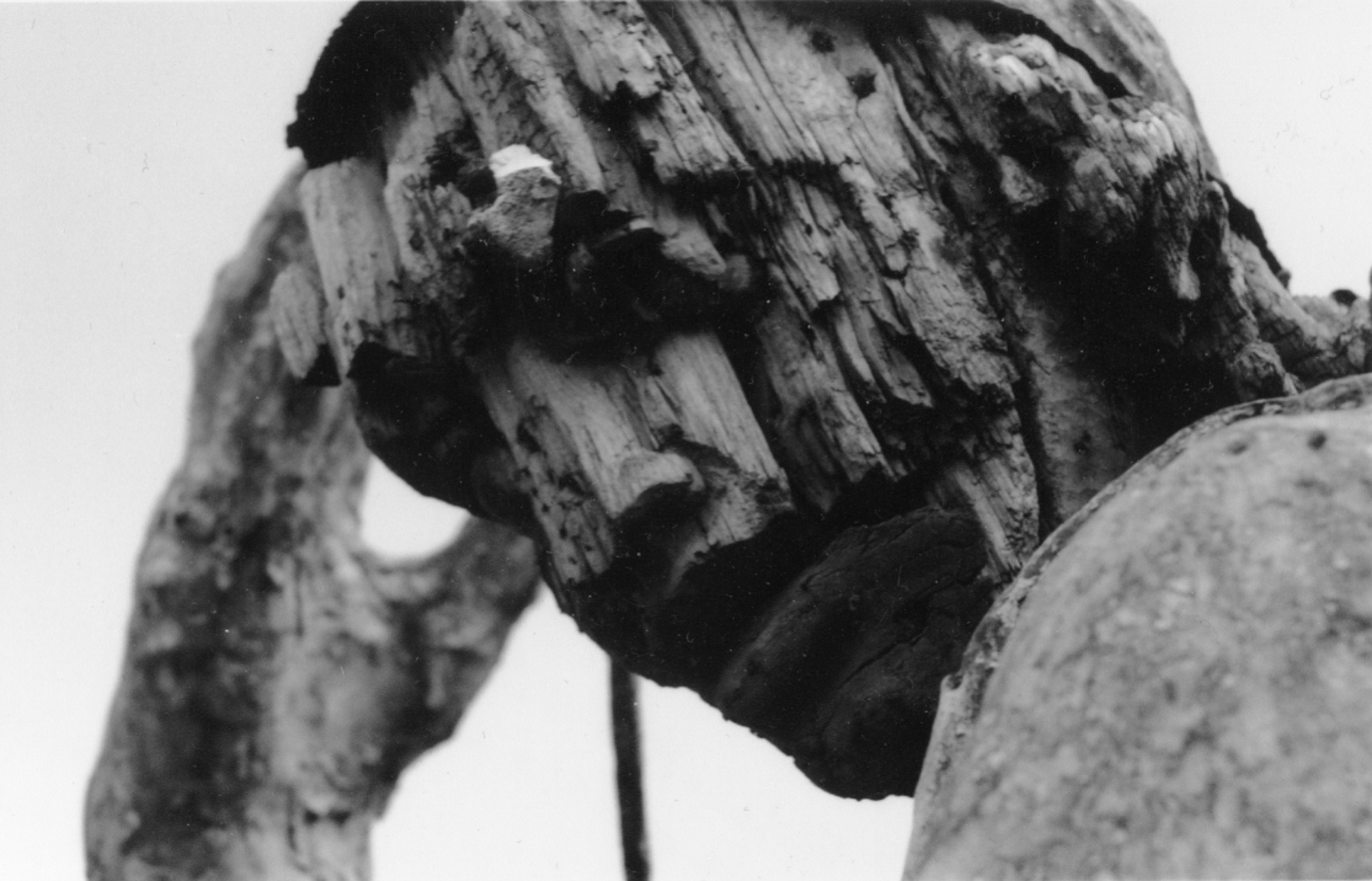 Anima Russa. Елена Цихон художник фотографии и мастер фото-ДНК