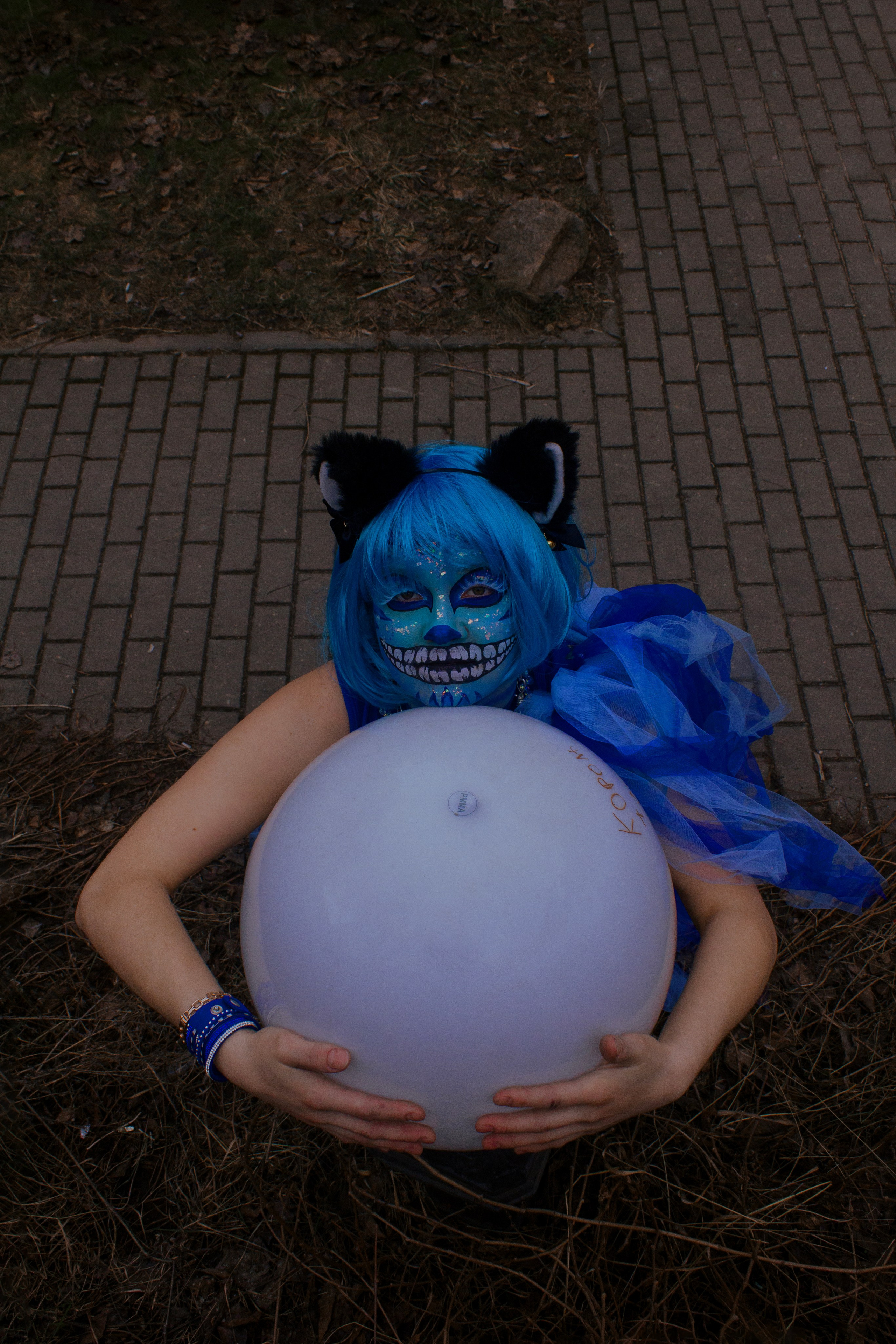 Встречайте: чеширская кошечка