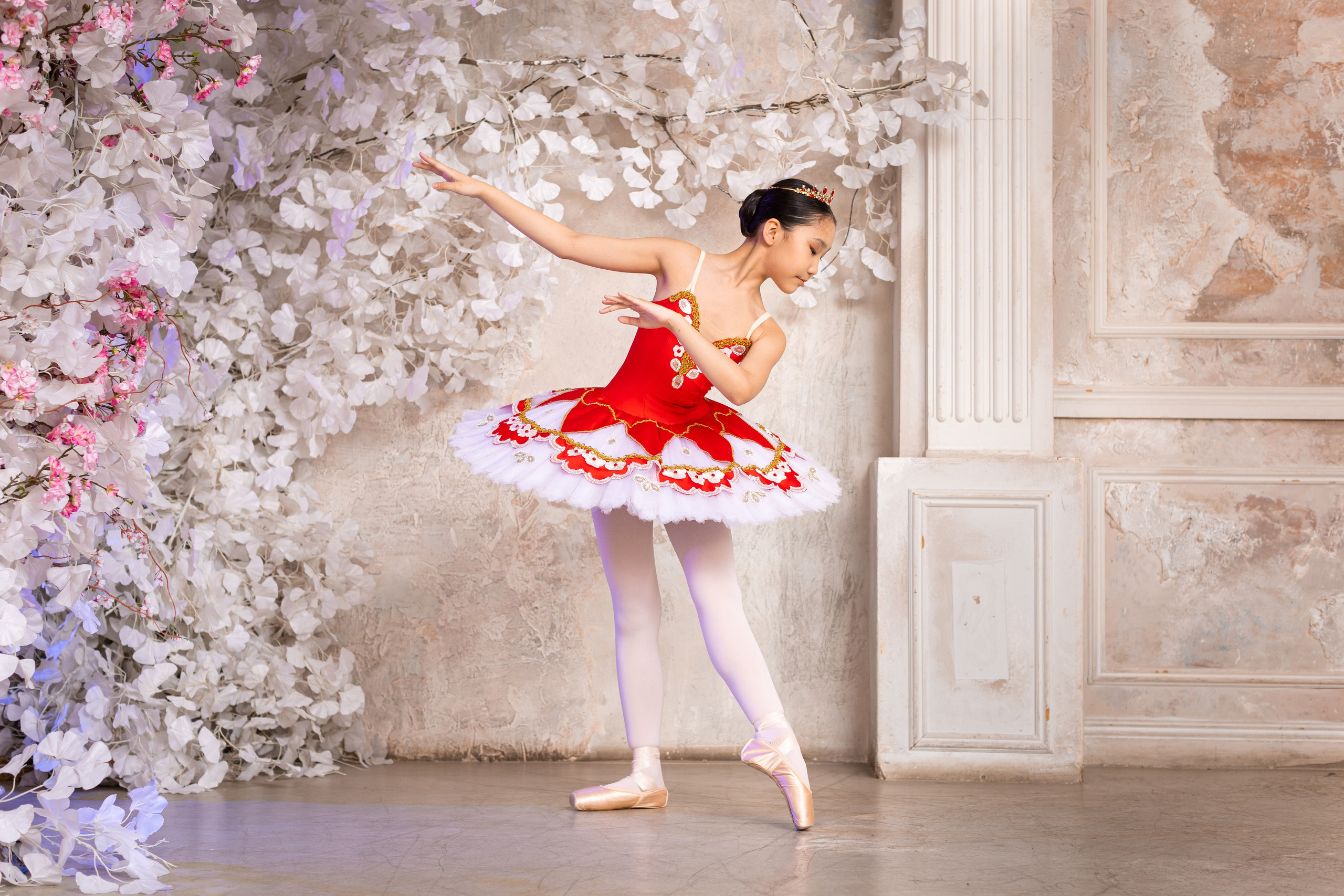 Балетная съёмка в интерьере. Балетный фотограф Алина Ханько — Душа Балета