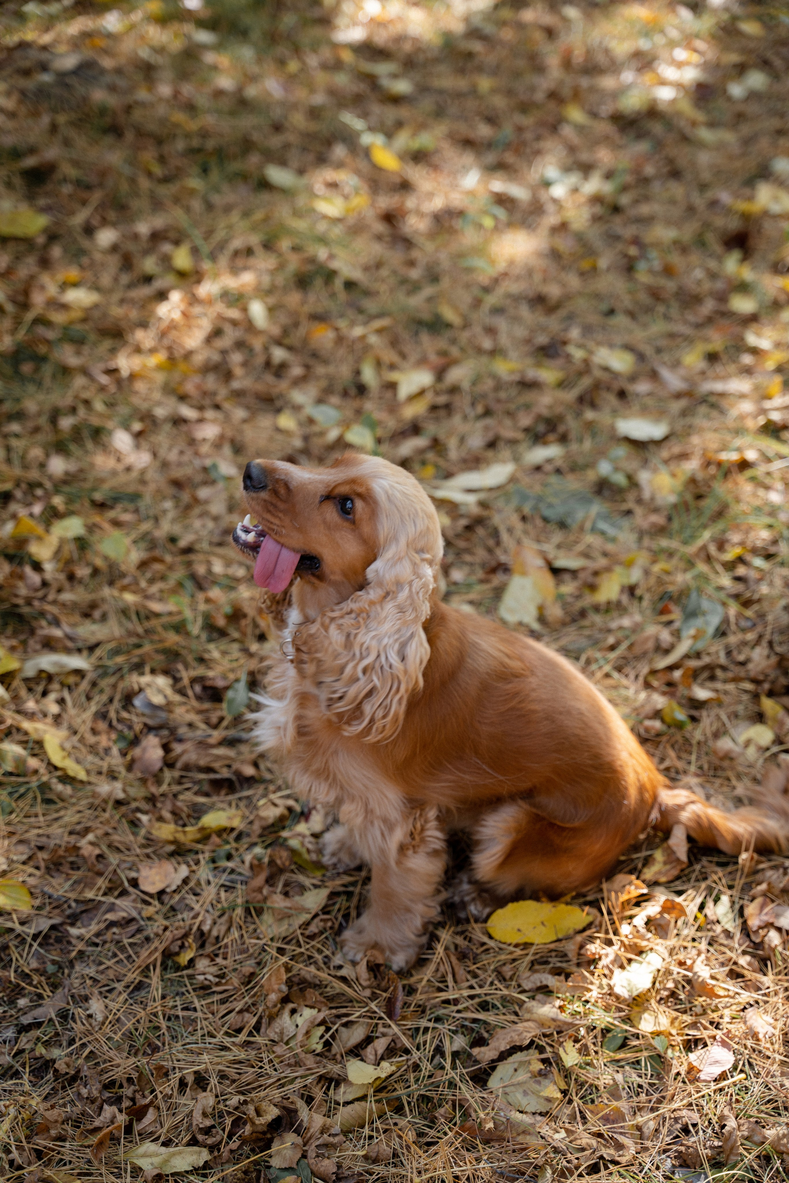 Кристина и ее семья. Анастасия Антипинская — профессиональный фотограф в Хабаровске