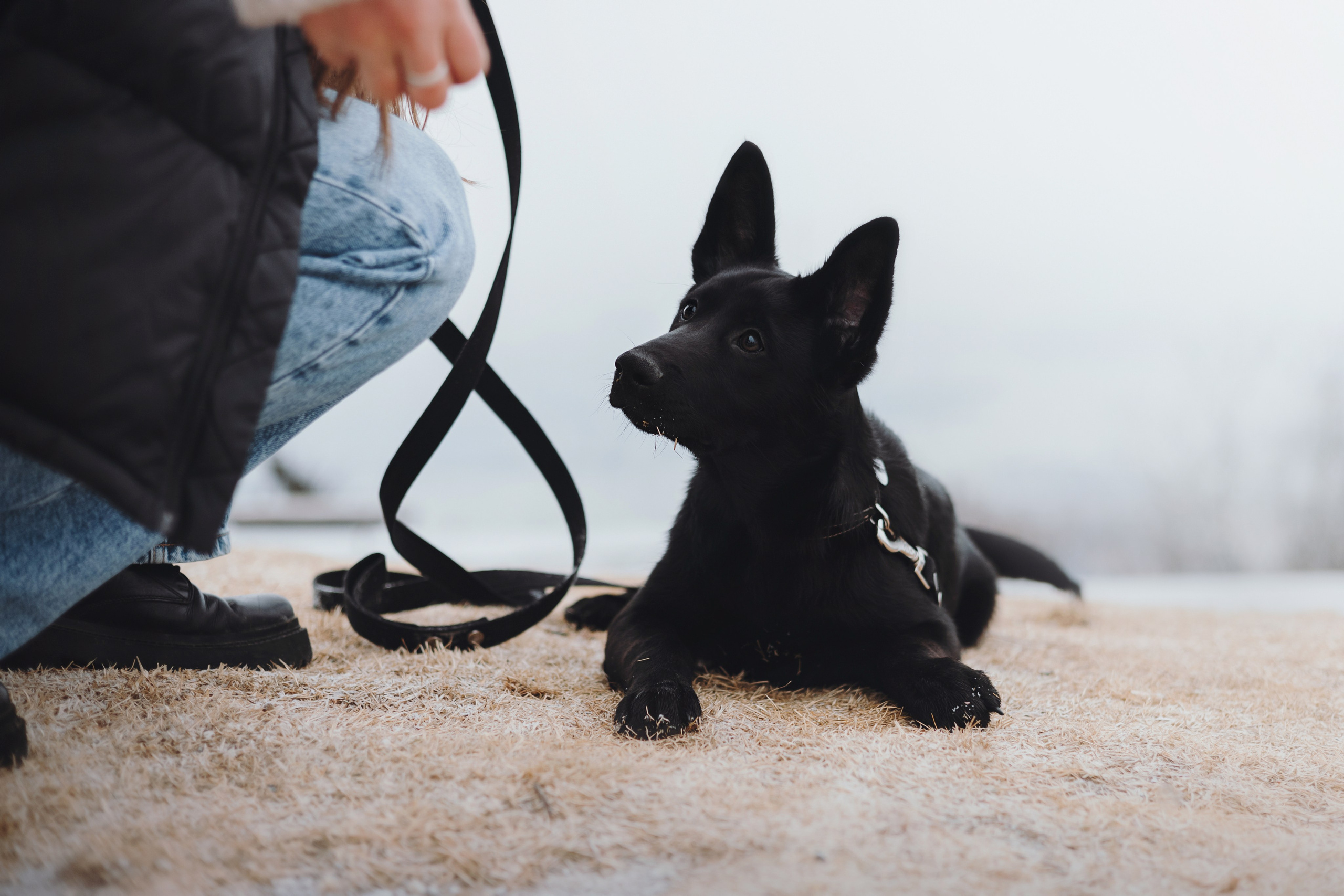 Ксения и Юта. Фотограф — анималист Владивосток, Алина