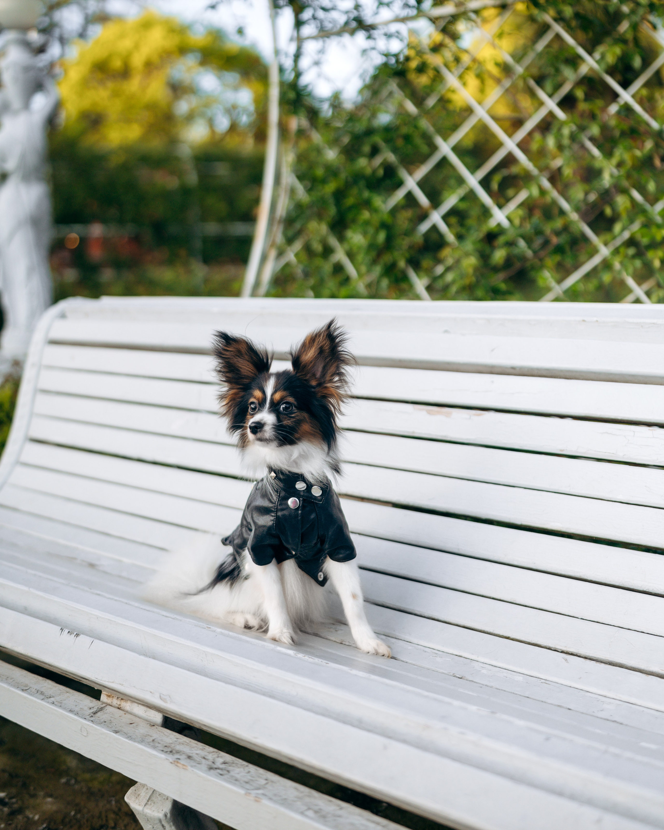 Животные. Фотограф Сочи-Краснодар