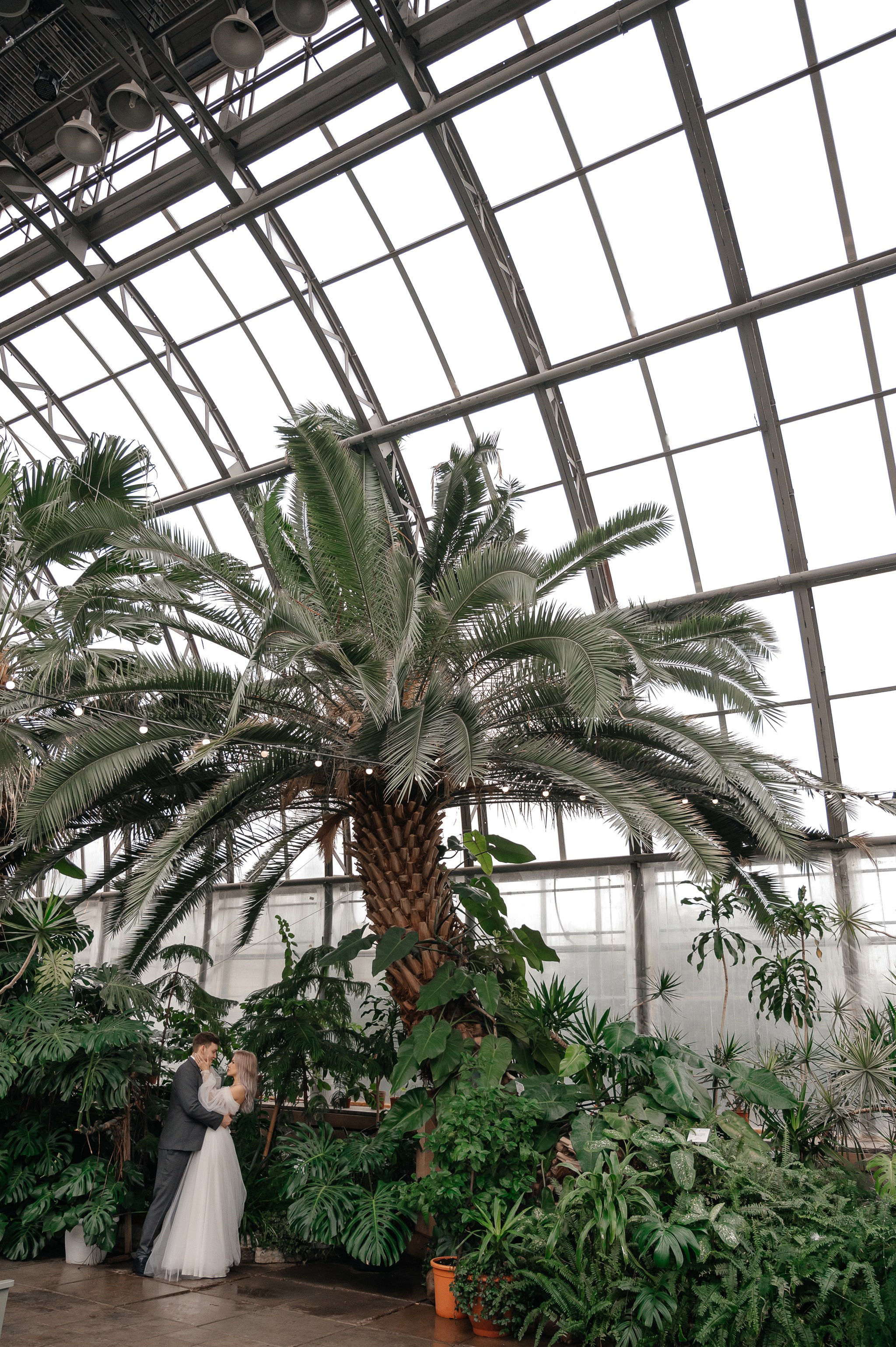 Оранжерея Таврического сада. Свадебный и семейный фотограф из Санкт-Петербурга Климов Анатолий