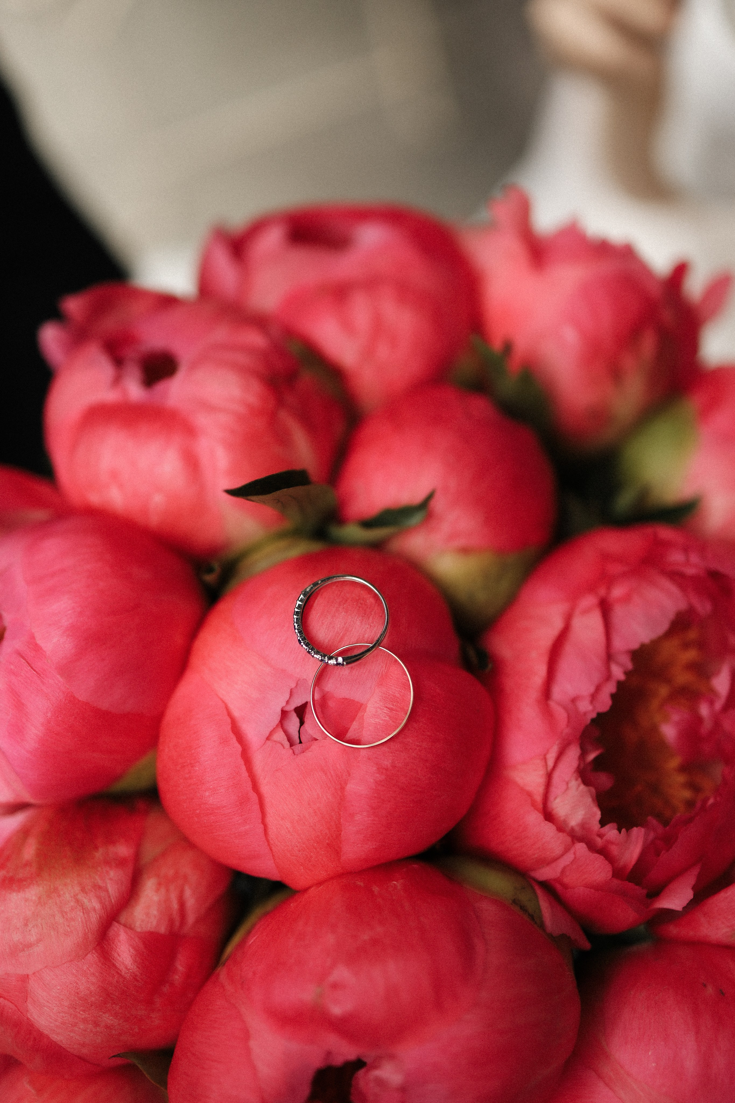 Д. + Т. Грибоедовский ЗАГС, прогулка по центру. Семейный и lovestory фотограф в Москве Светлана Коняхина