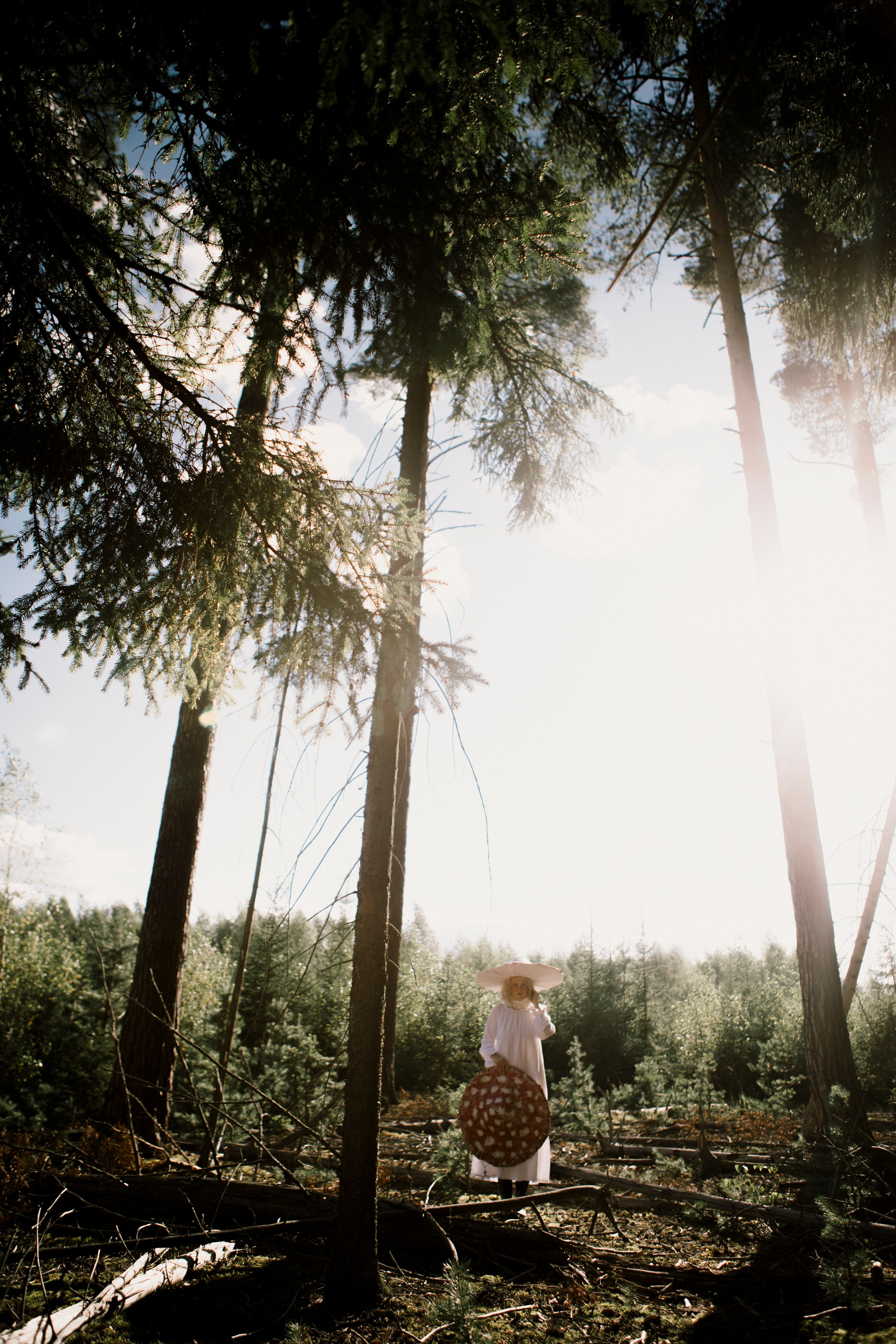 Грибы. Ольга Пилант. АРТ, бэкстейдж, свадебная и семейная фотография, городской портрет, интерьерная фотография