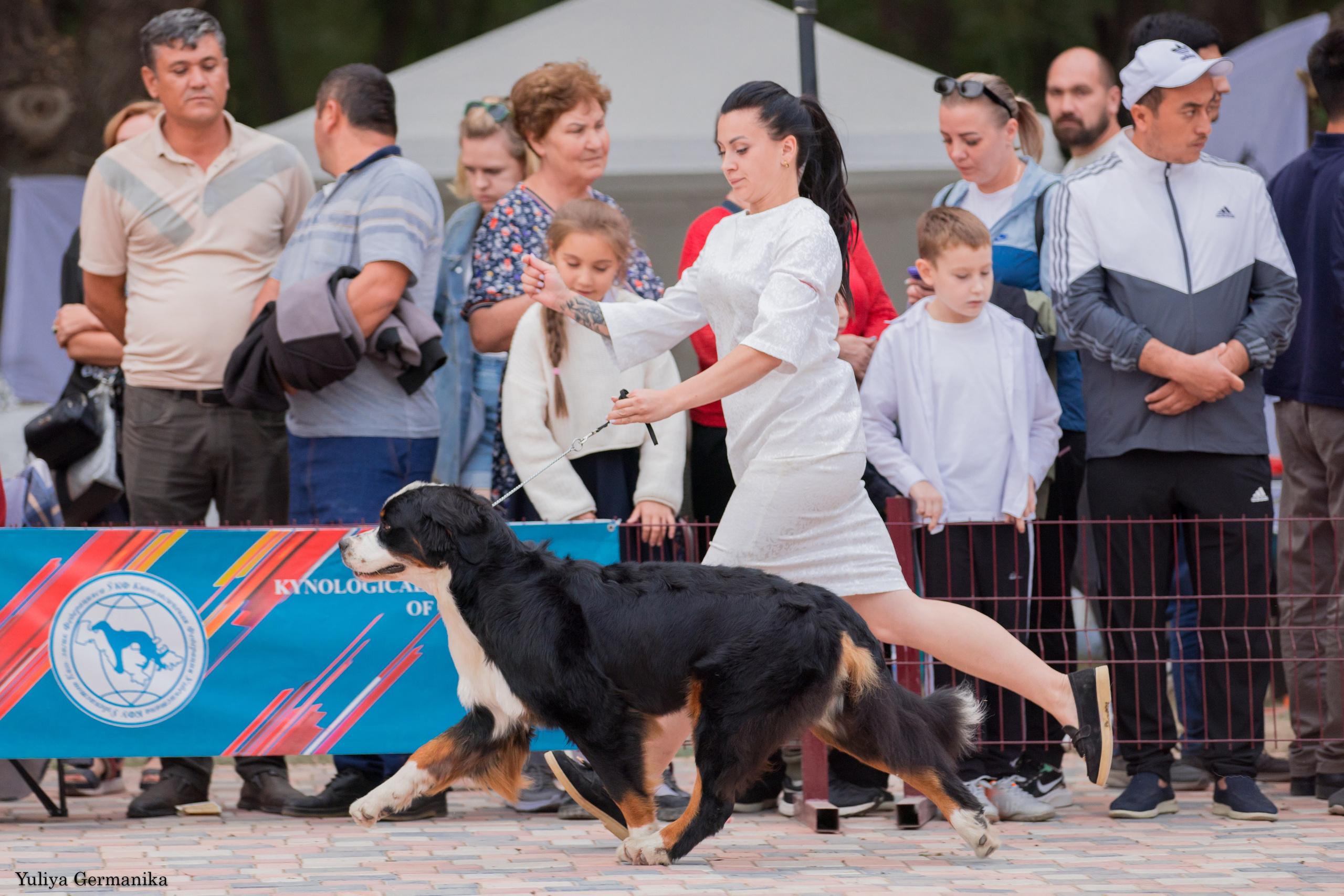 Ташкент 6-8.10.2023 + Алматы 14-15.10.2023. Фотограф-анималист Юлия Германика
