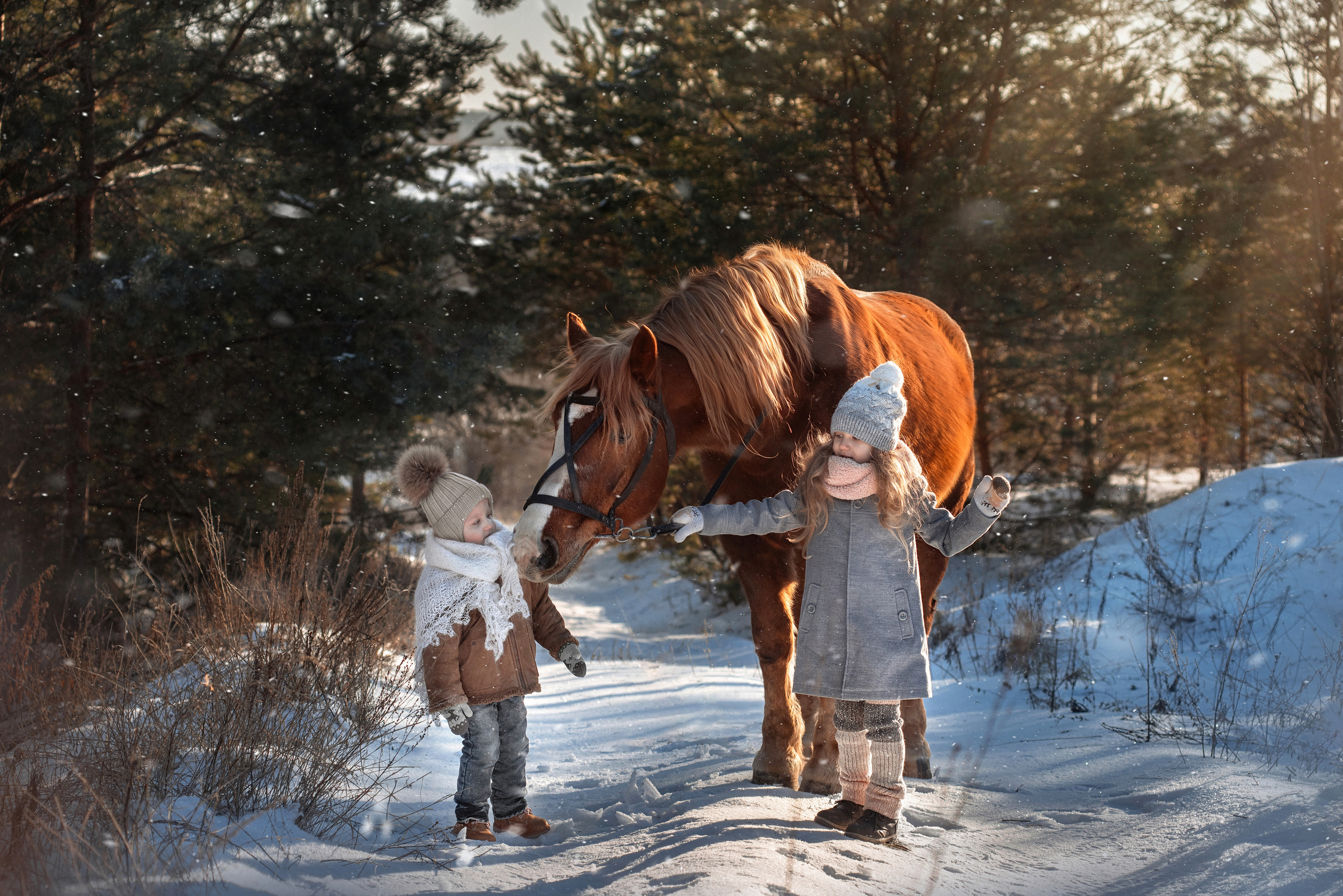 Детская съемка. С Бураном