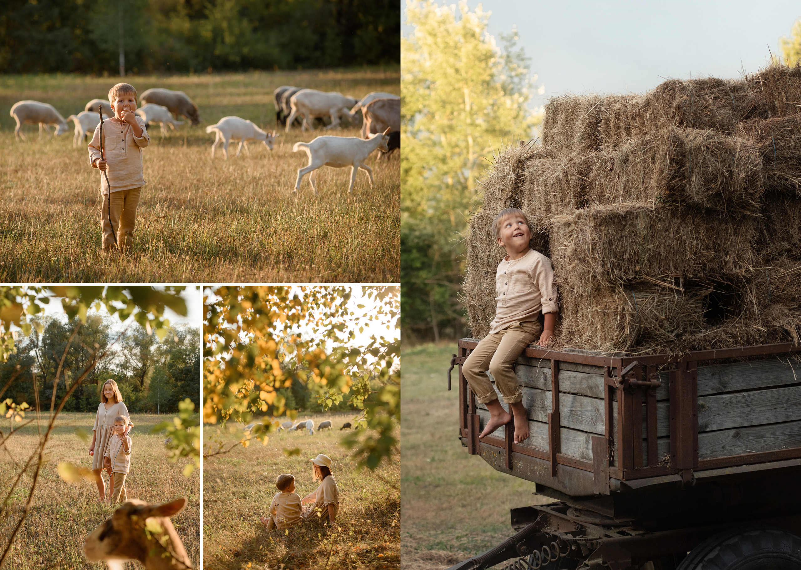 Обзор фотокниг