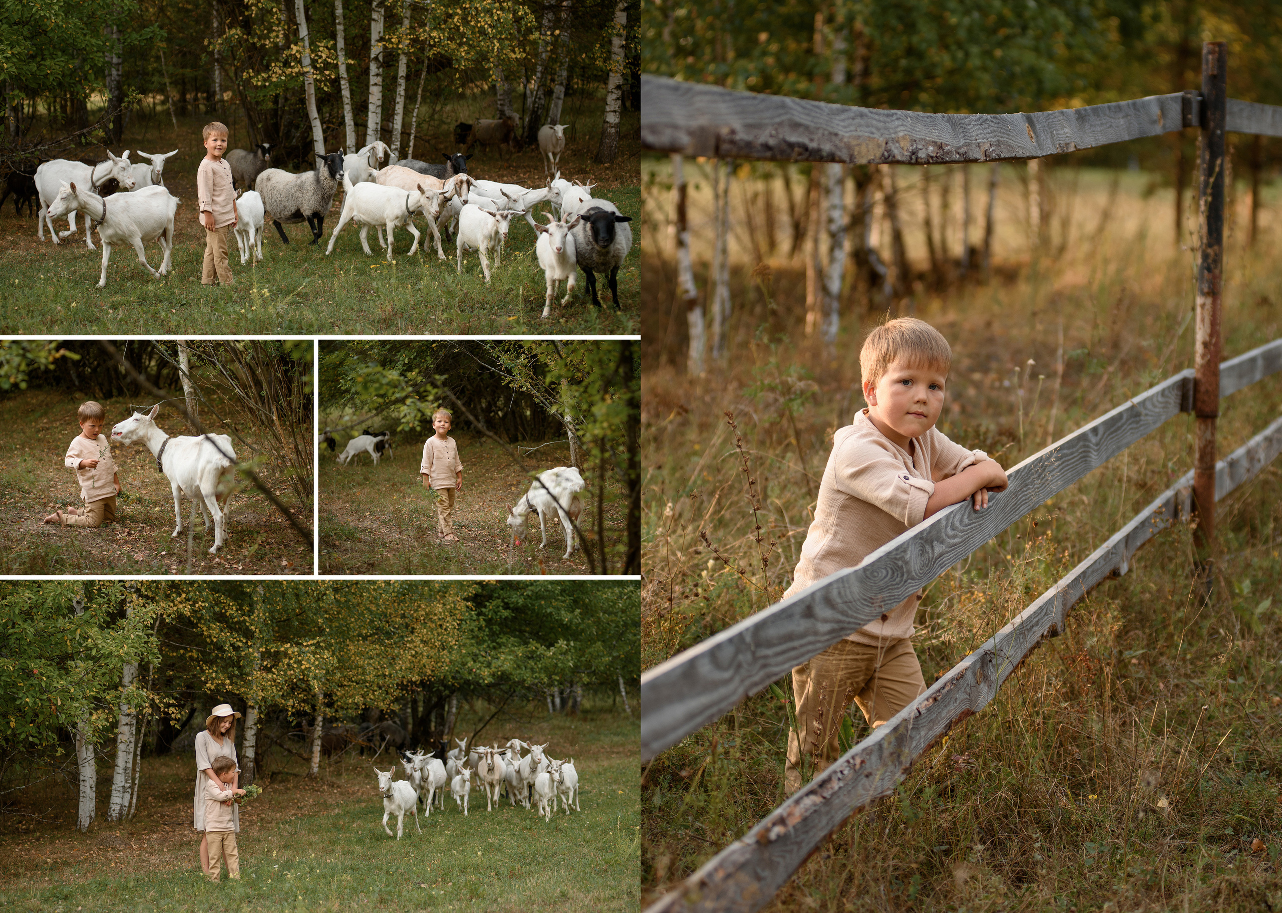 Обзор фотокниг