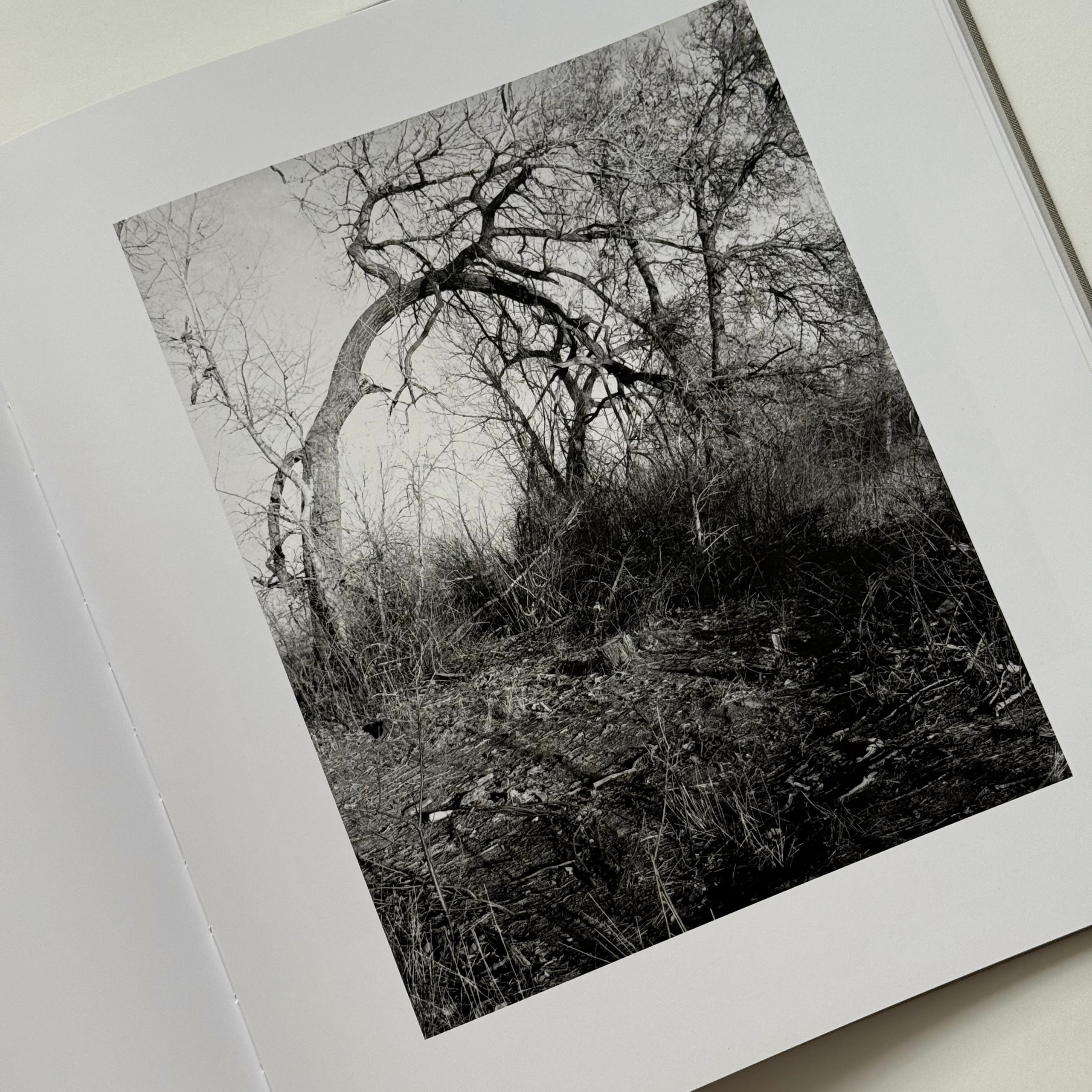 Фотокнижная библиотека Инны Шиловской. Фотограф и исследователь фотографии из Санкт-Петербурга Елизавета Веприцкая